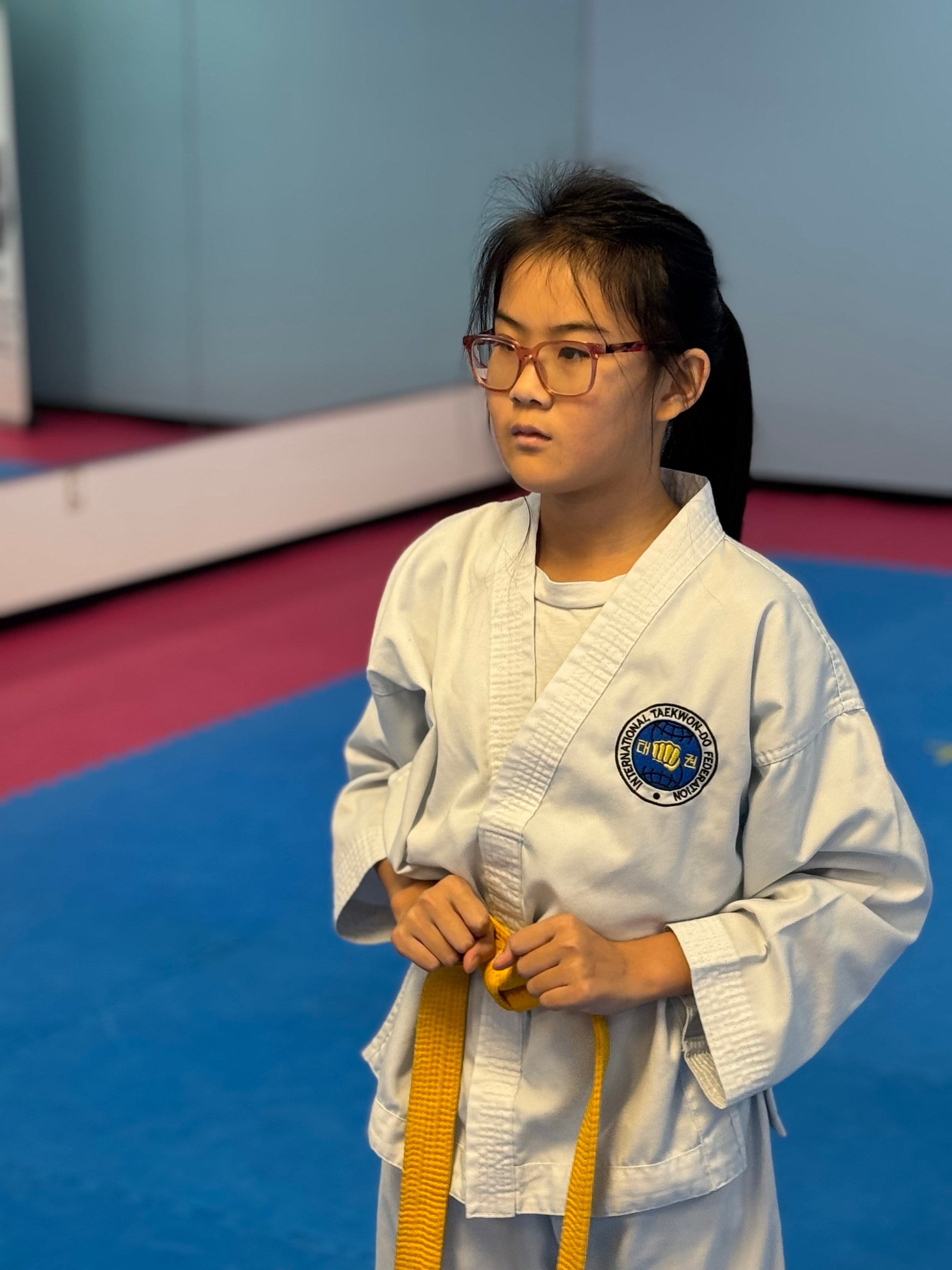Taekwondo practice session