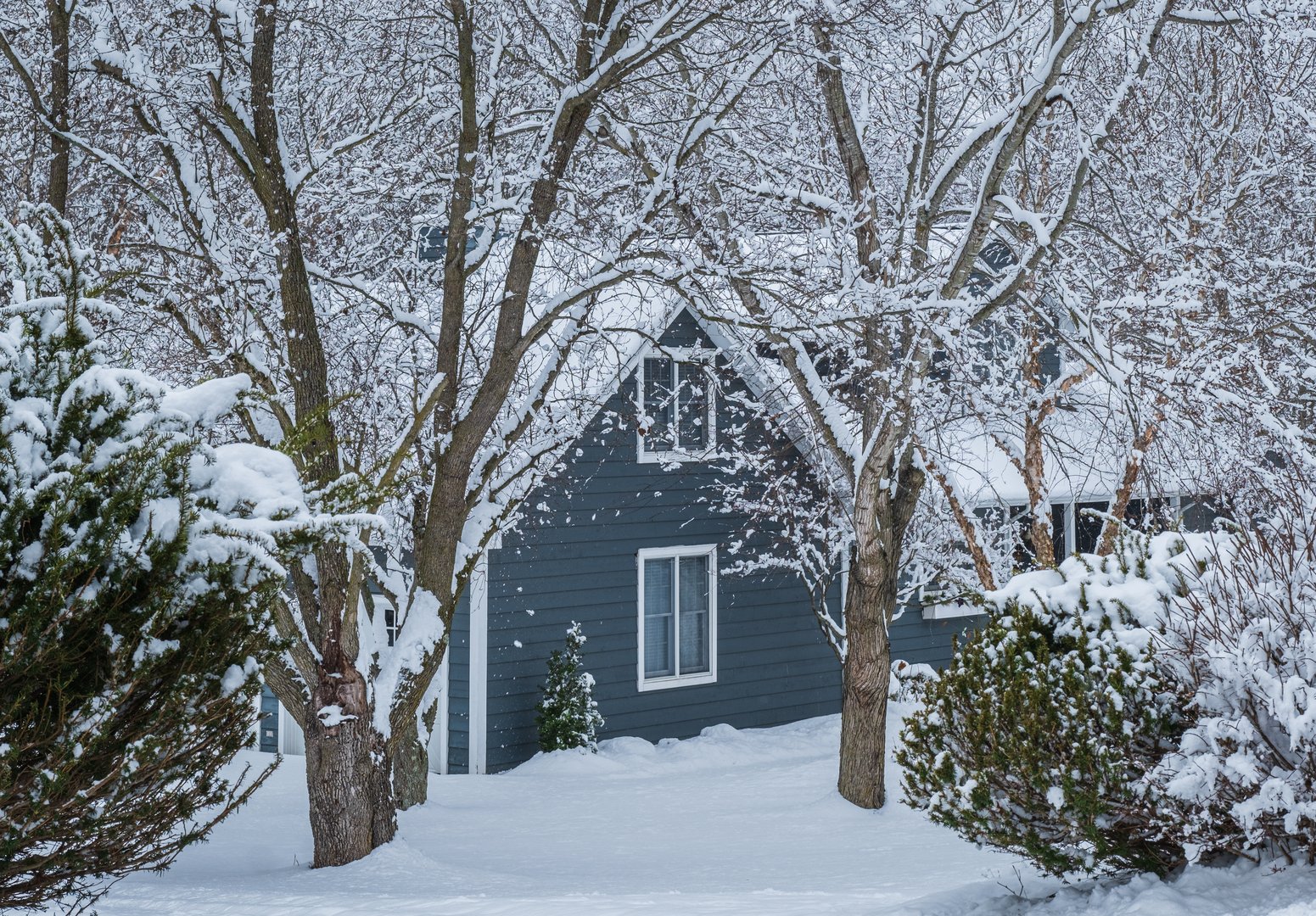 Suburban Midwestern house after snowfall, snow on ground and surrounding trees