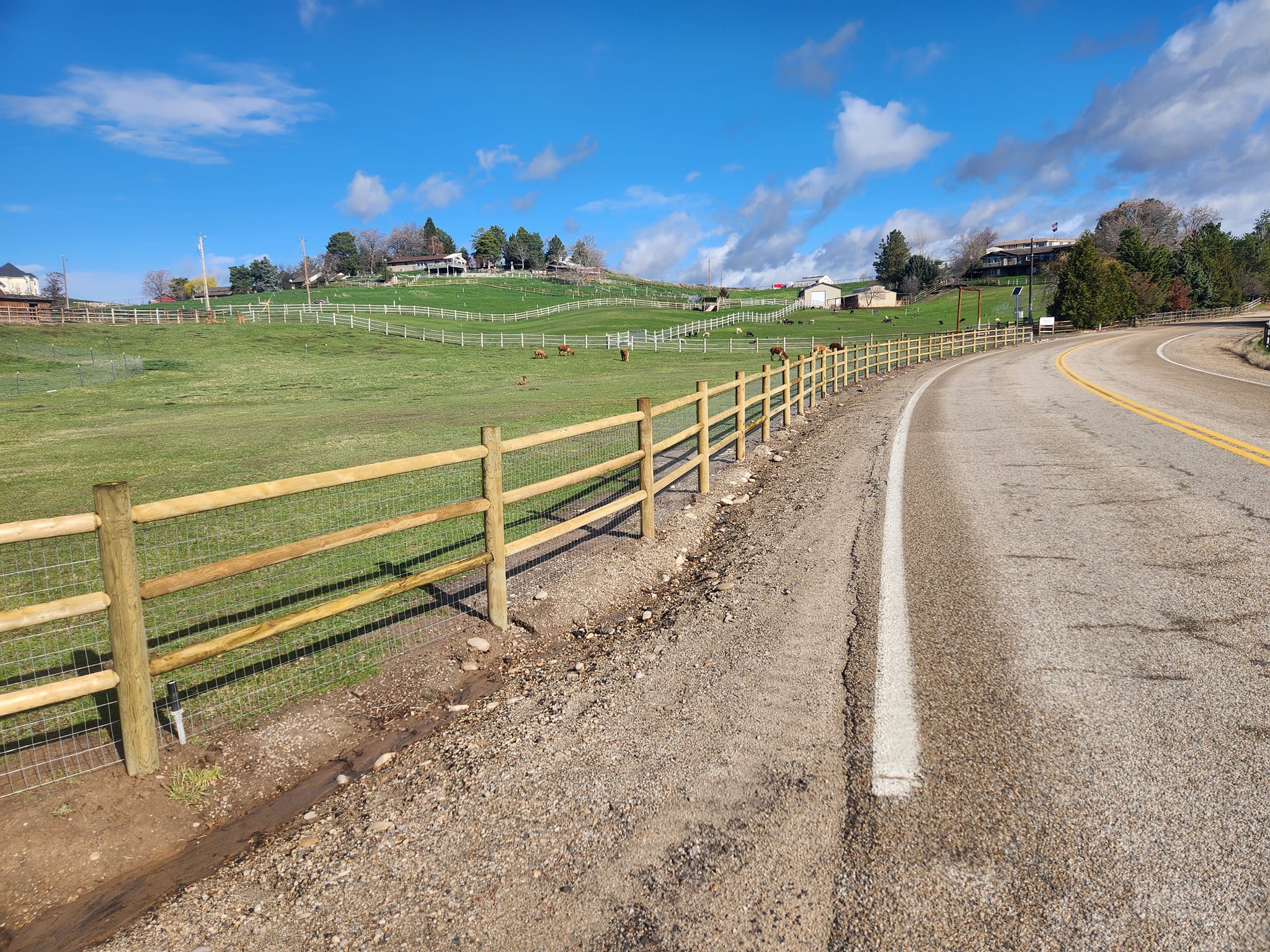 Professional Fencing Installation