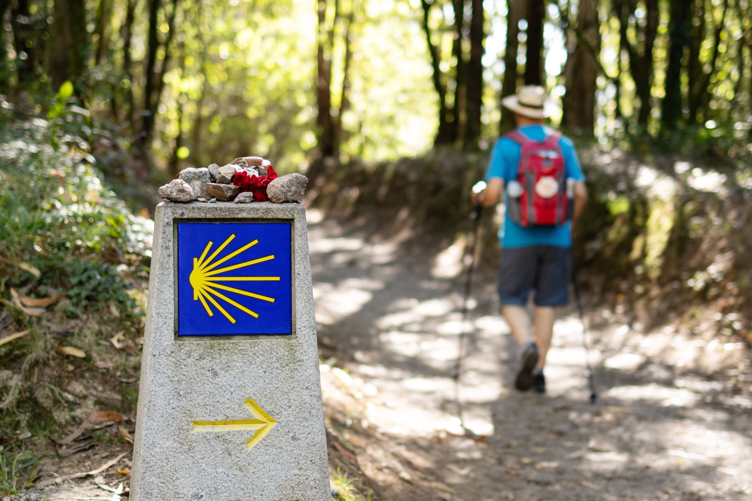 A pilgrim walks towards Santiago de Compostela in a forested area of the Camino de Santiago, guided by milestone sign
