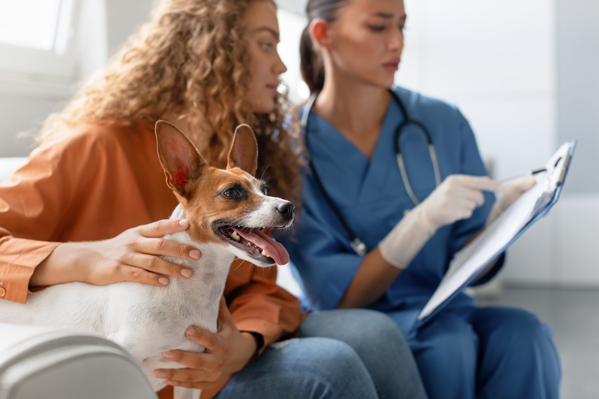 Veterinary Care