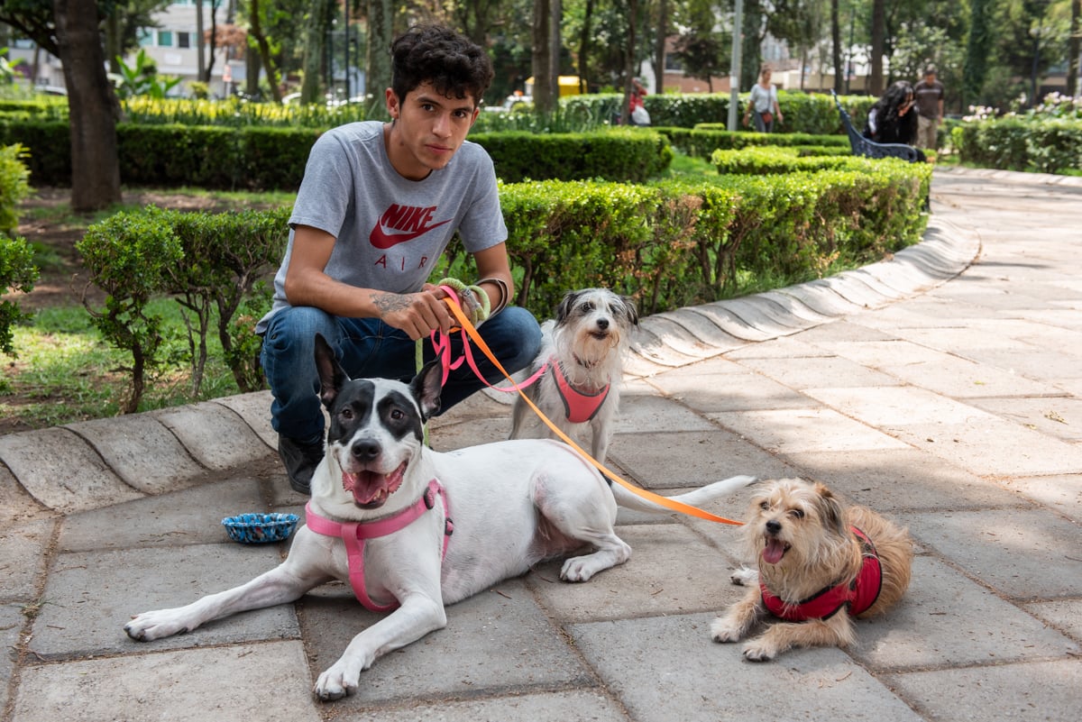 Pets Imaginarium-25_baja