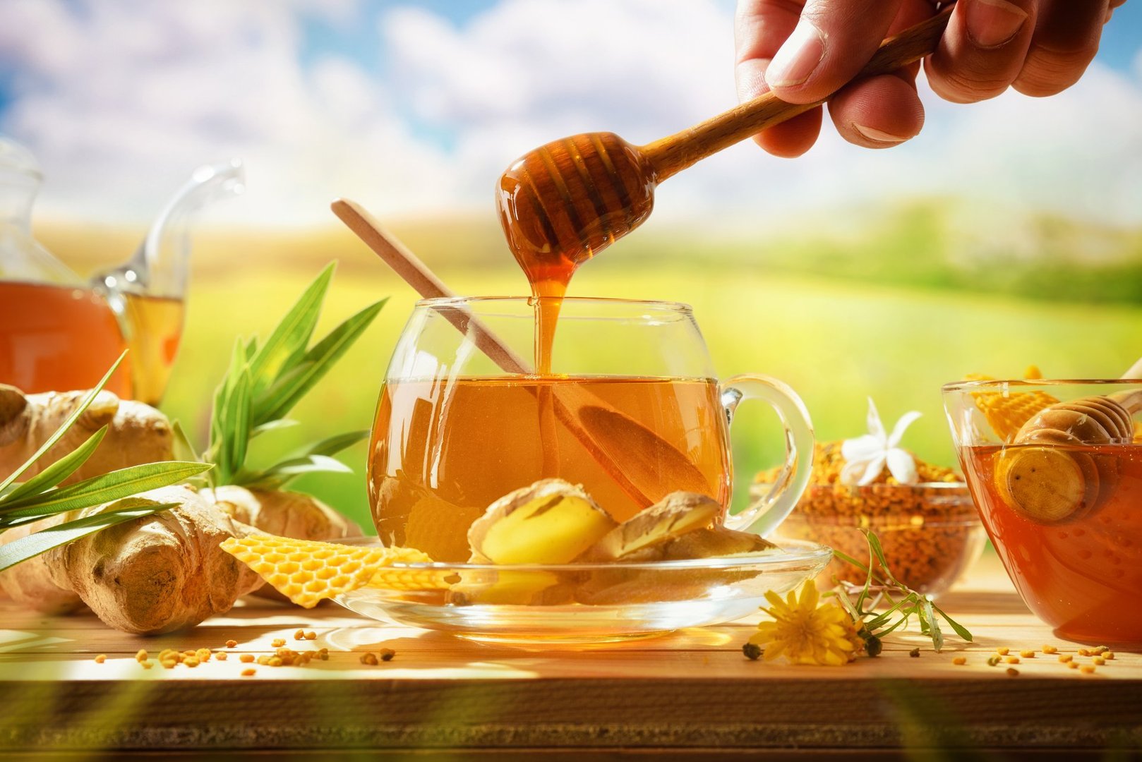 Preparing a natural infusion by hand, pouring honey into a cup with ginger and organic products around and a nature background. Front view.
