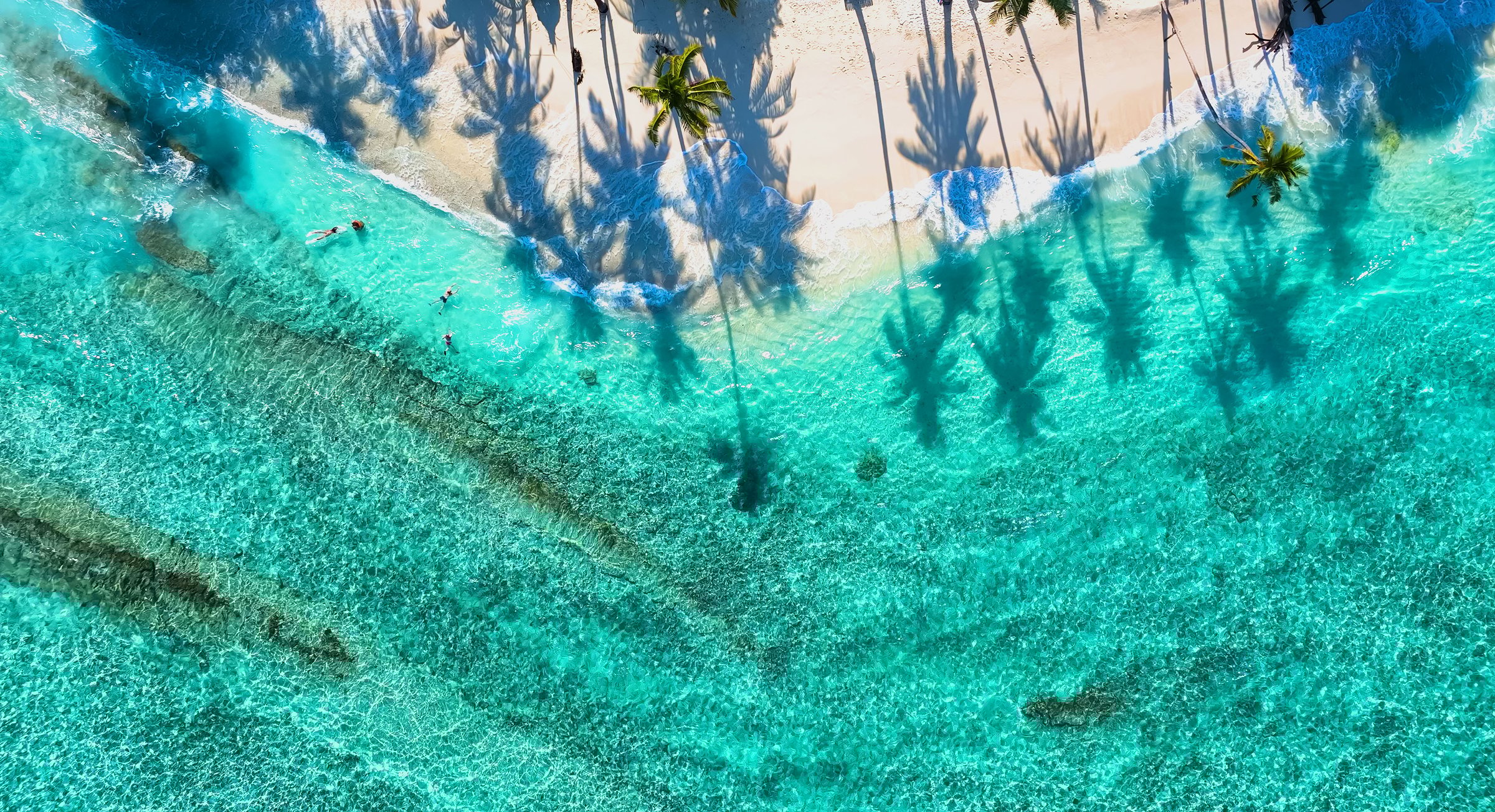 Summer palm tree  and Tropical beach with blue  of seashore background