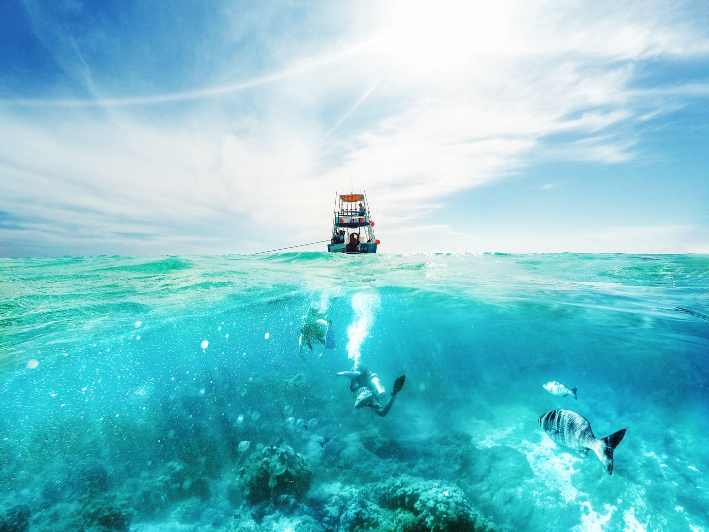Scuba divers underwater and fishing tour boat above the Caribbean Sea in Cozumel, Mexico