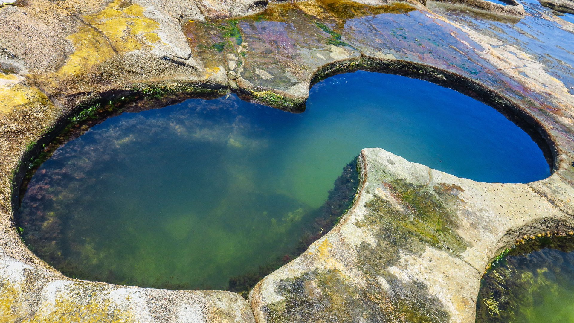 The Royal National Park in New South Wales, Australia