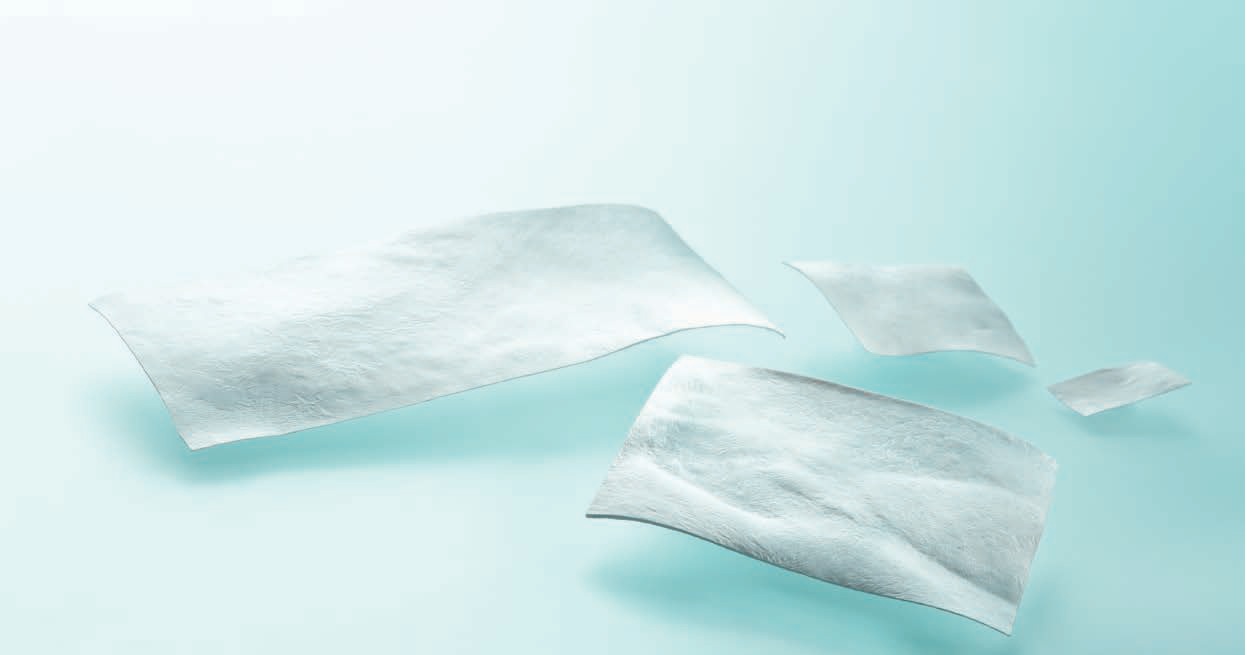 Lyoplant sustituto duramadre