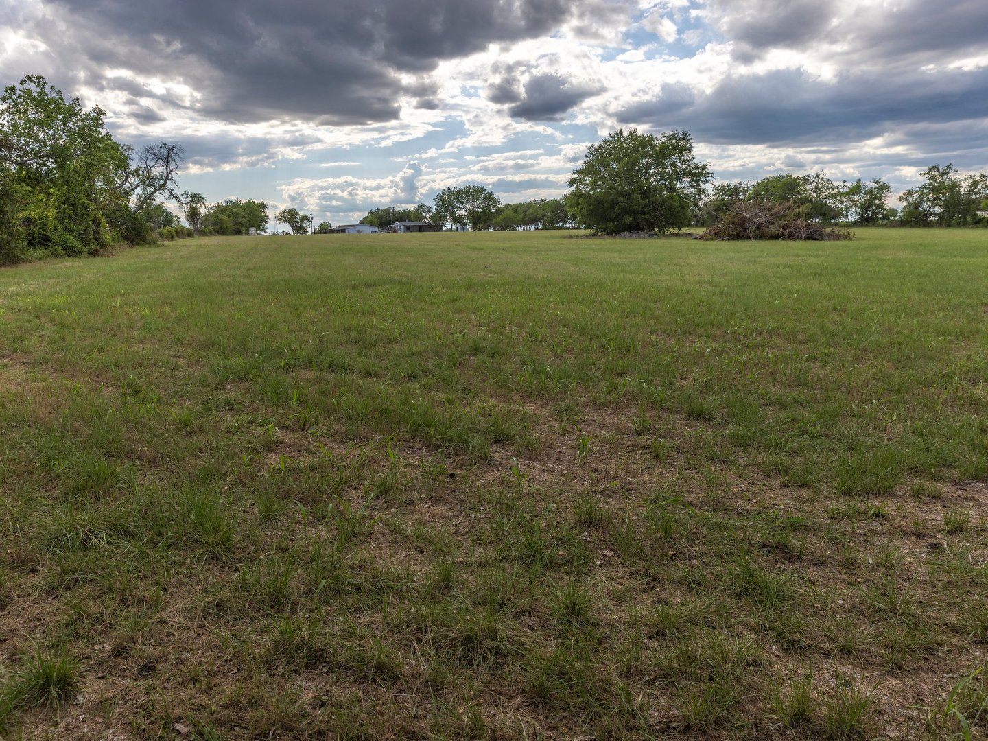 Open grassy field with scattered trees under a cloudy sky.