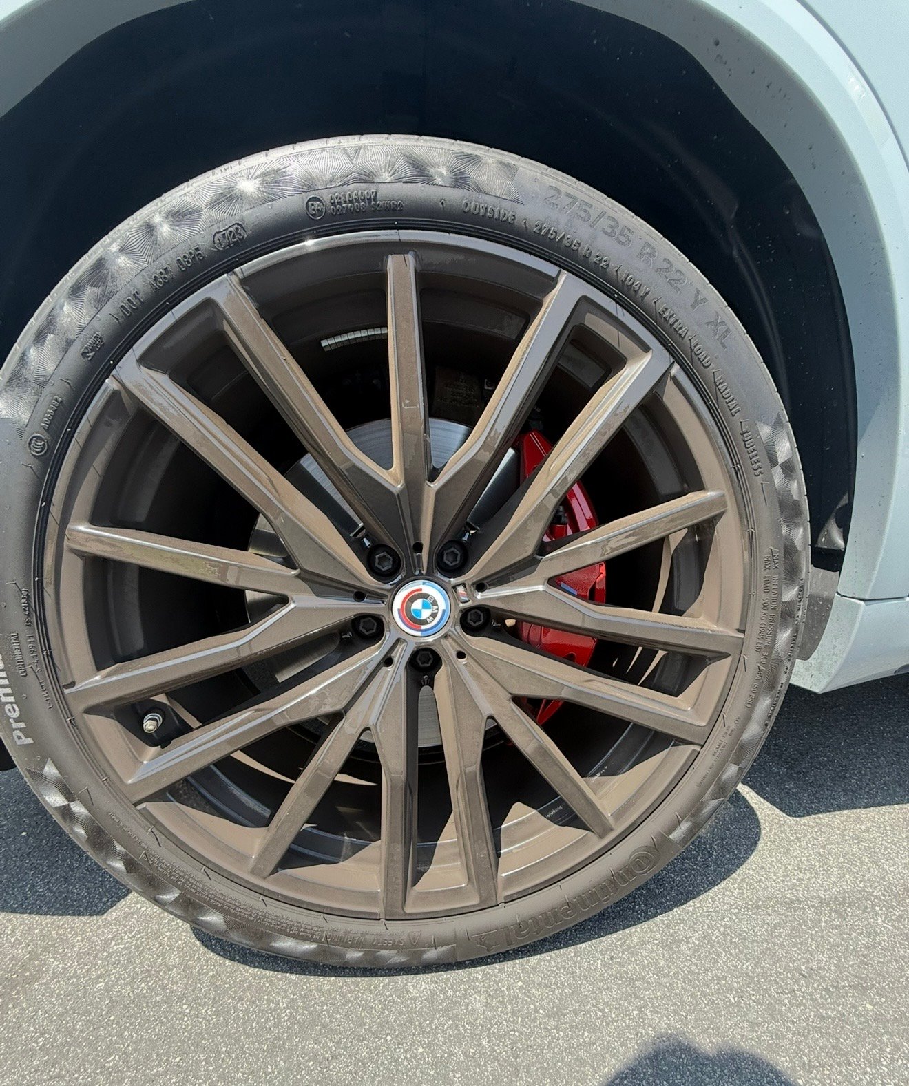 Dirty wheel before detailing