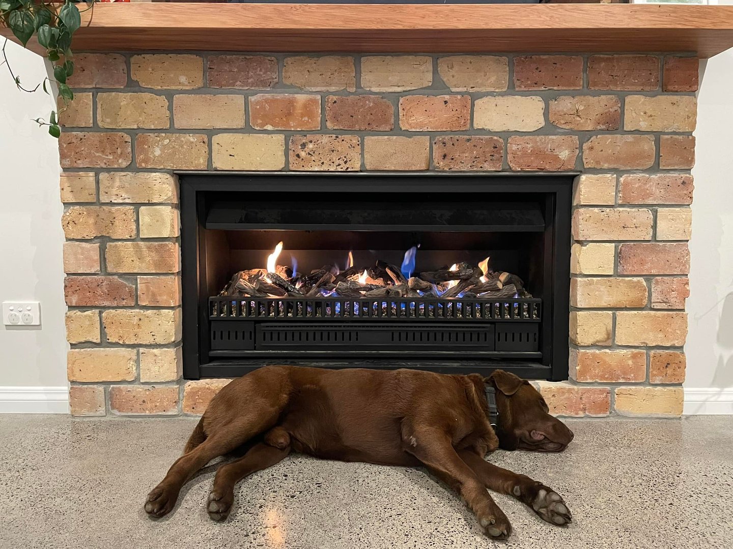 Gas fitting services