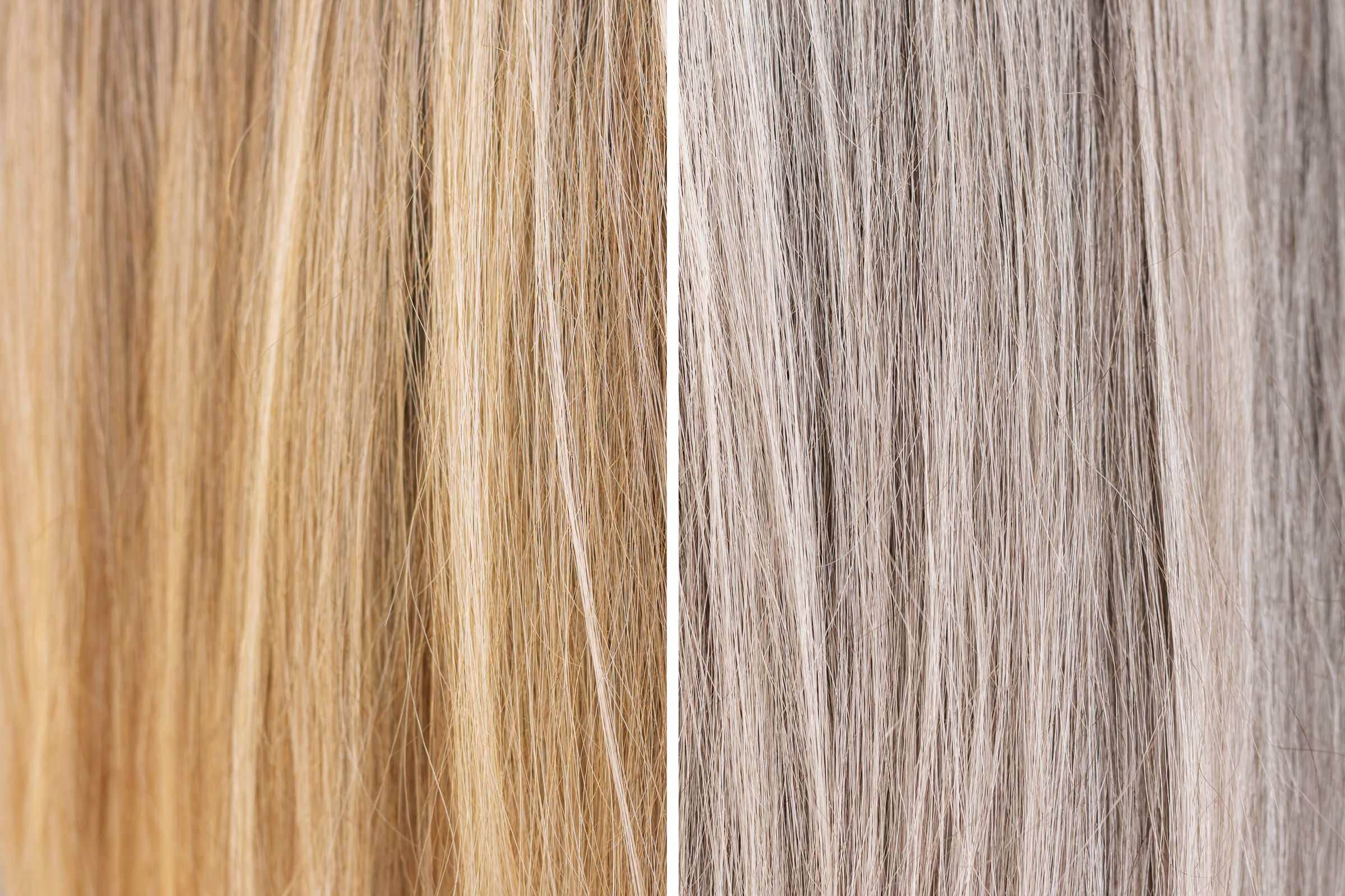 Close-up of young blonde woman's dyed hair before and after toning. Result of coloring, highlighting. Getting rid of yellow hair, effect of applying shade balm. Cold, warm blond.Yellowness neutralizer