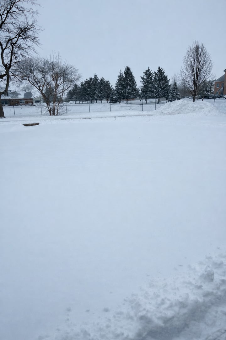 Snow covered driveway before removal