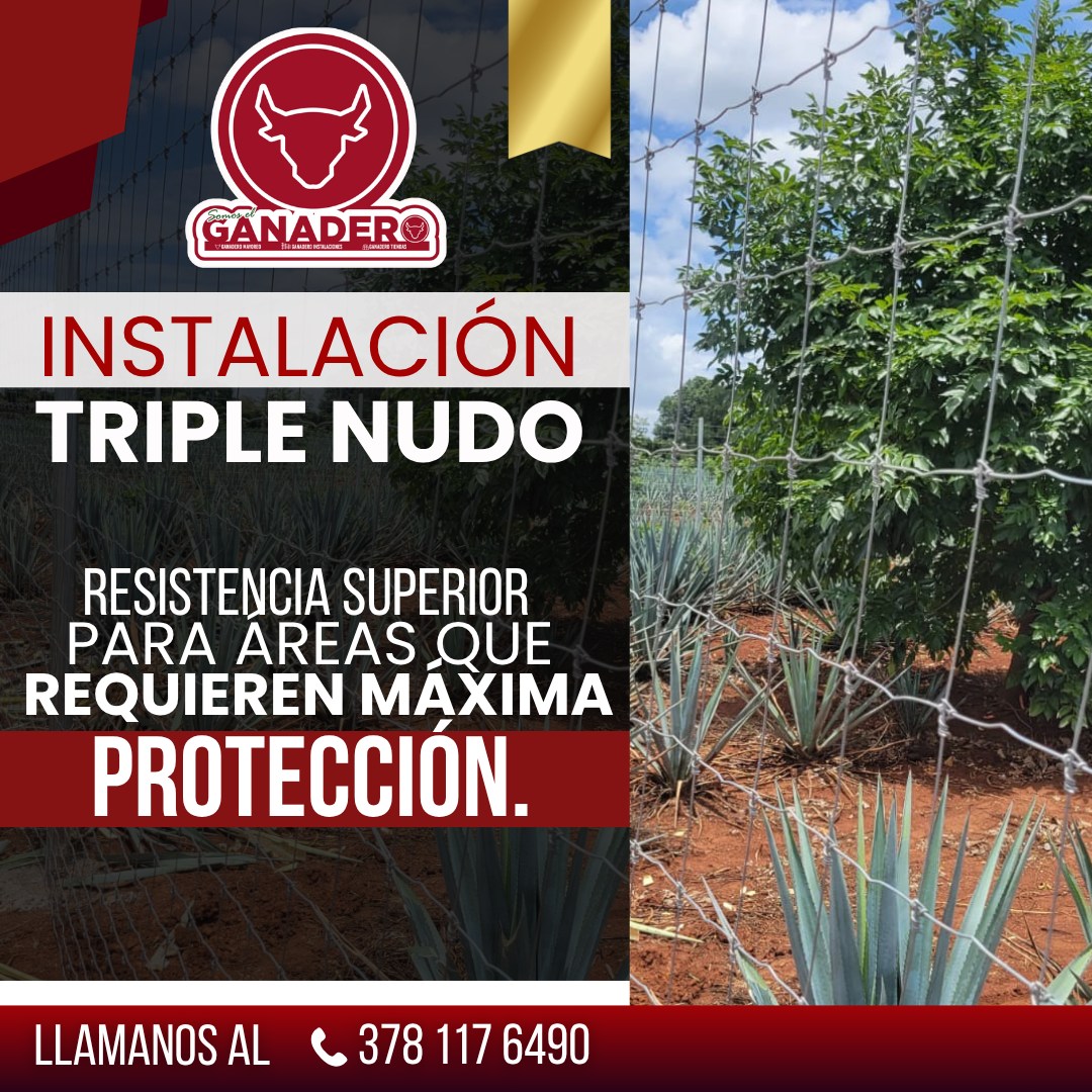 Ejemplo de contenido para redes sociales