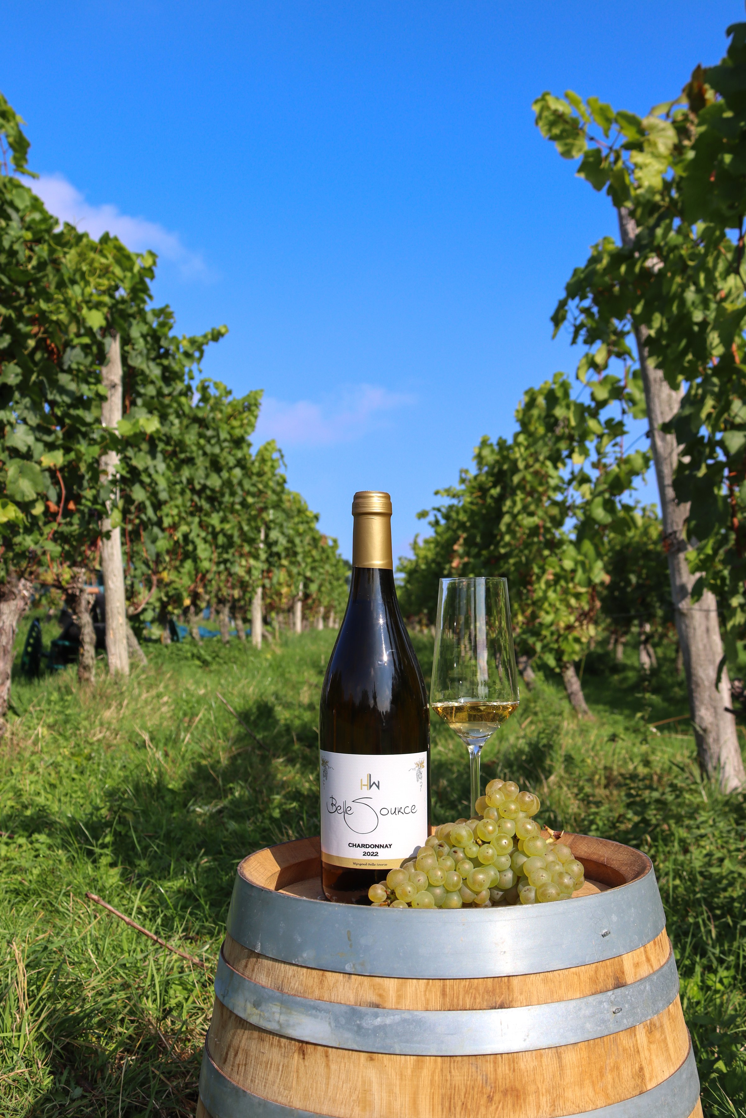 Belle Source Chardonnay wine bottle