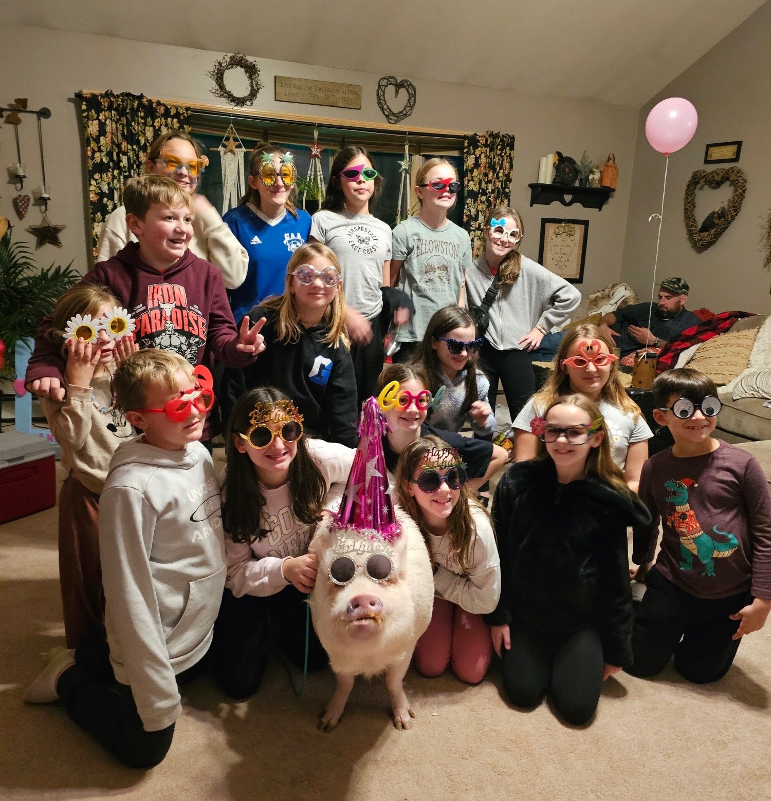 Pig relaxing on sofa