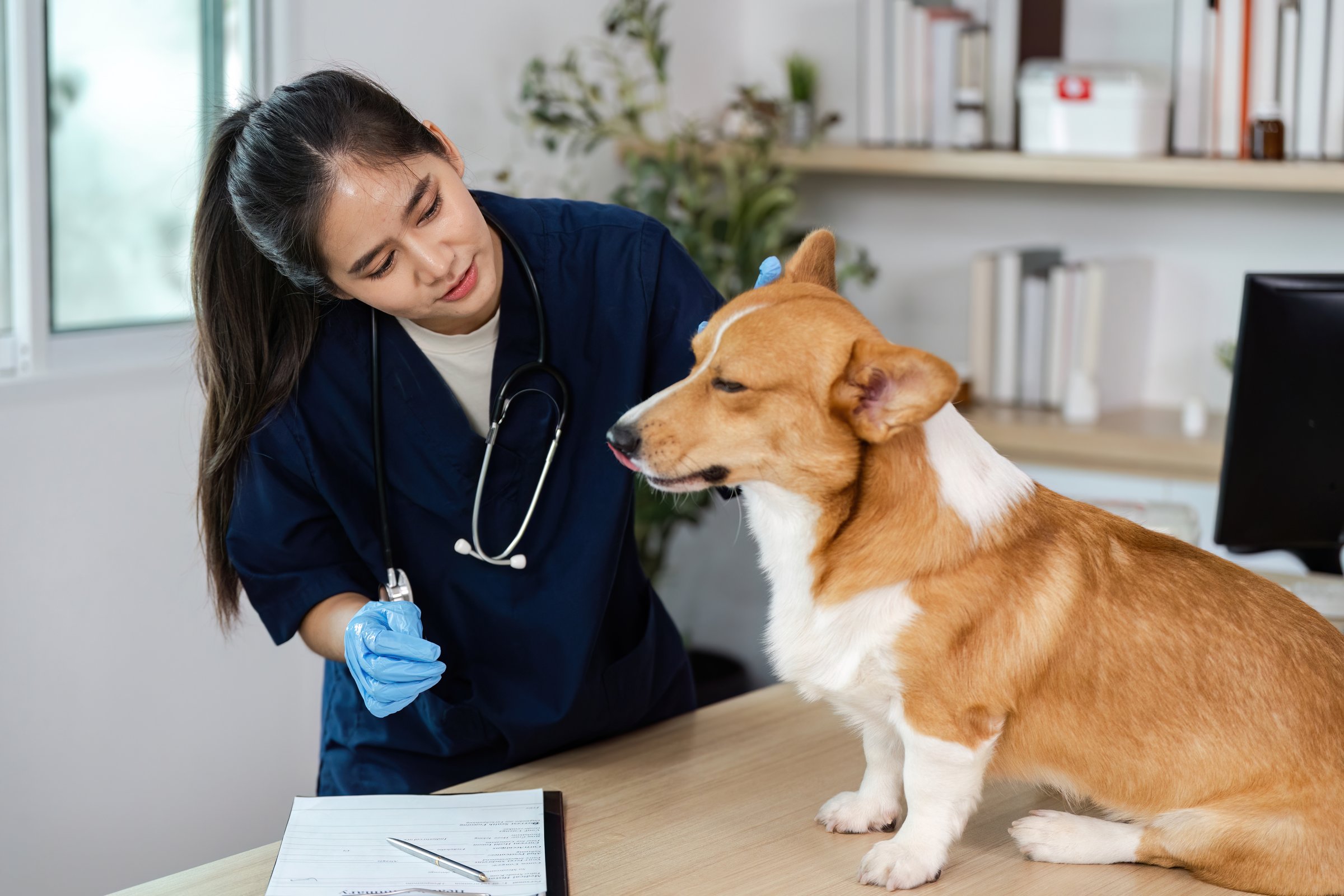 Ana Martínez con su perro