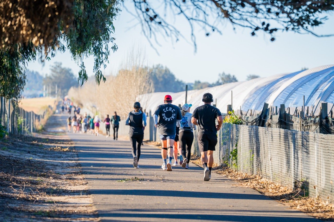 Join our free weekly runs