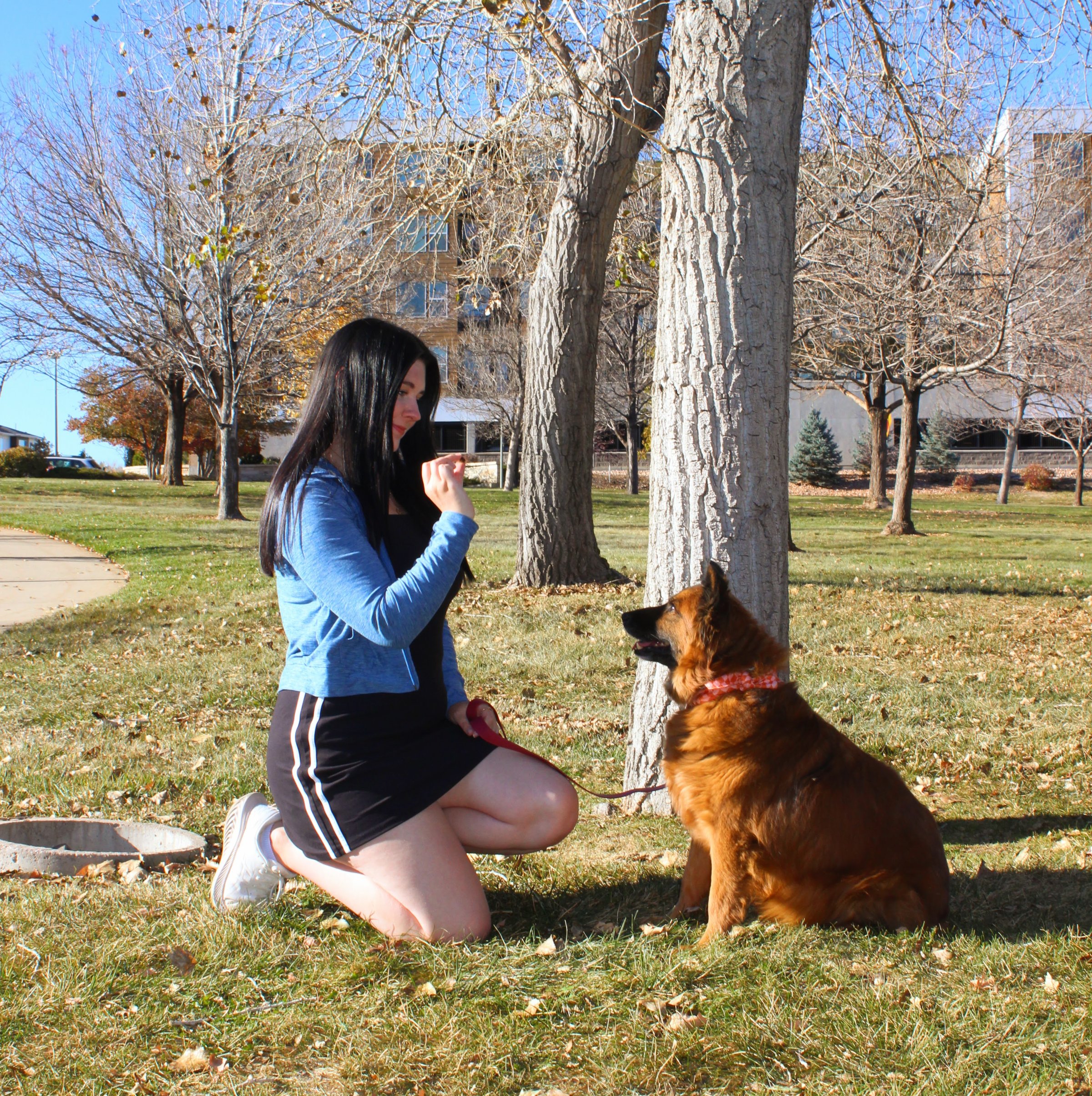 Catie - Founder of House Sitting Denver