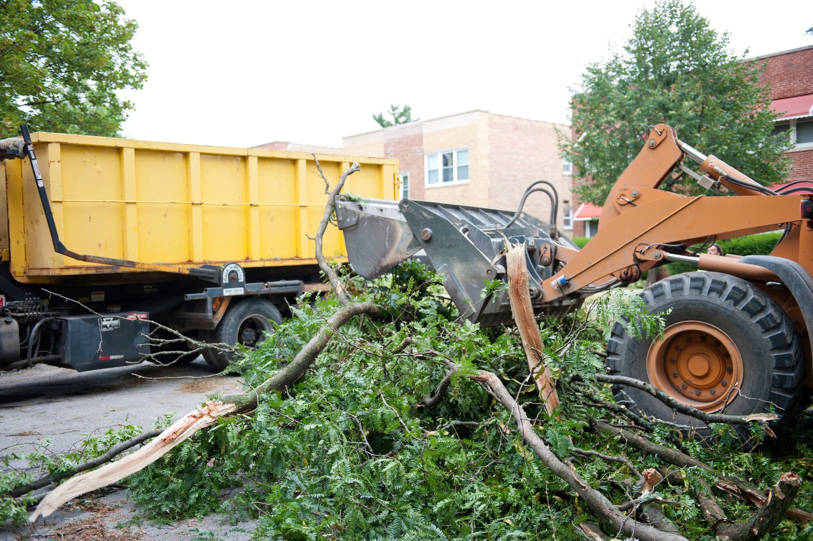 A truck removing broken fallen branches on the side of the road.
