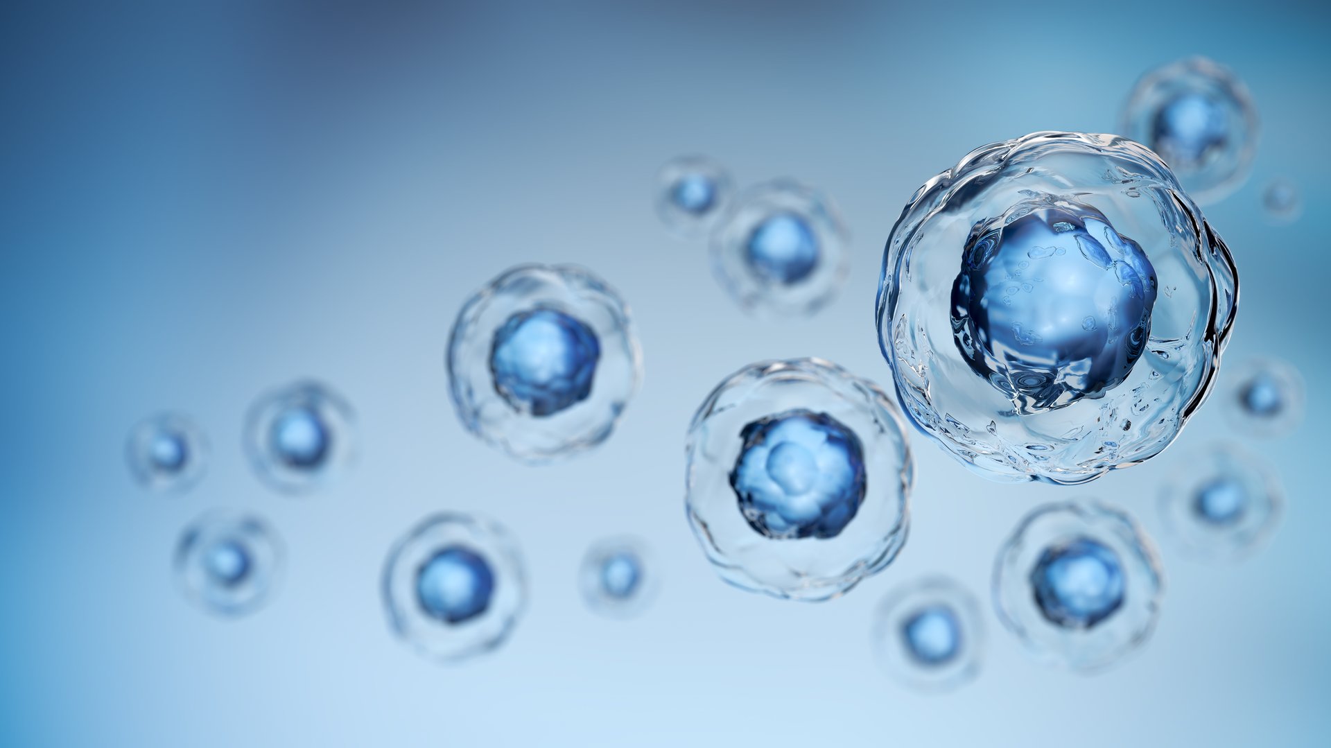 3d rendering of Human cell or Embryonic stem cell microscope background.