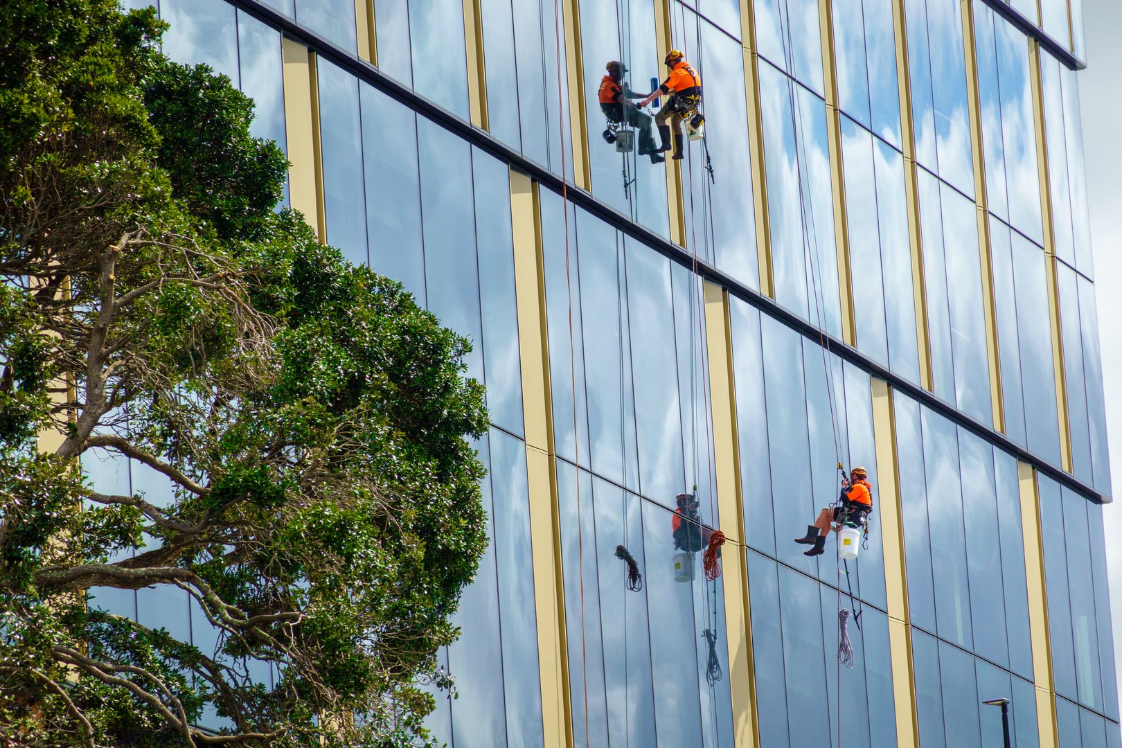 Tauranga New Zealand - October 10 2025; Two men orange high visibility tops hanging on ropes on side of glass clad building cleaning exterior windows.