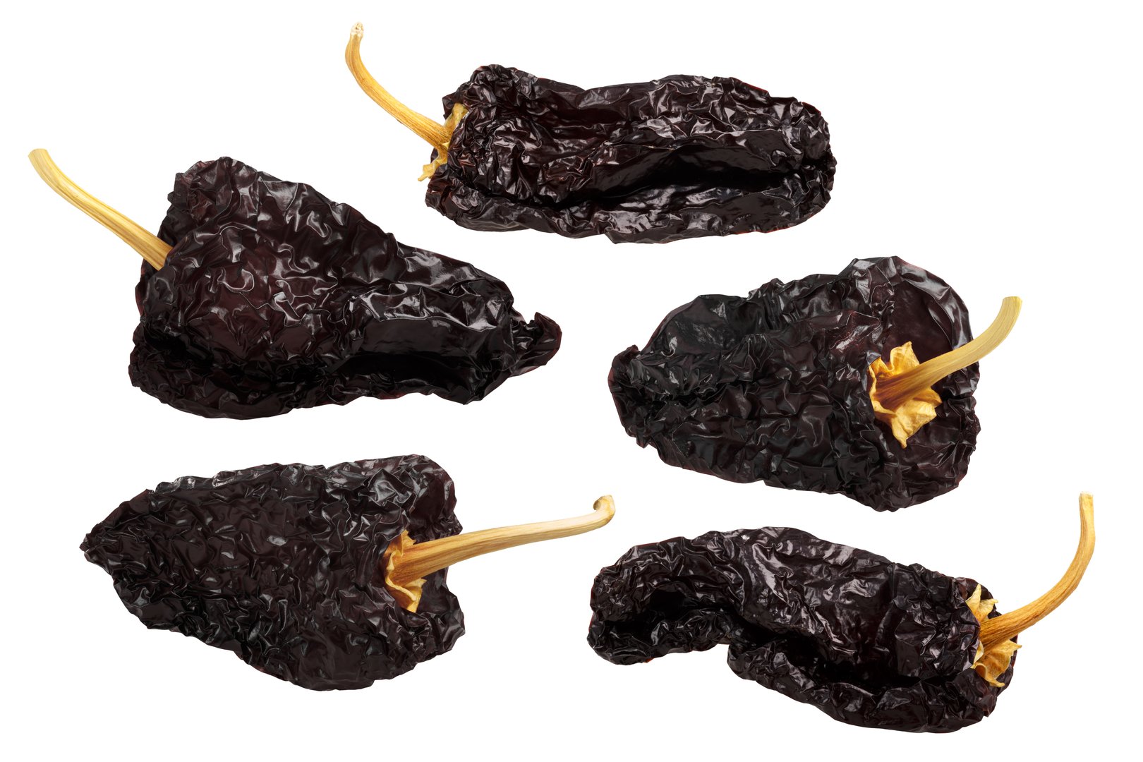 Chile Mulato