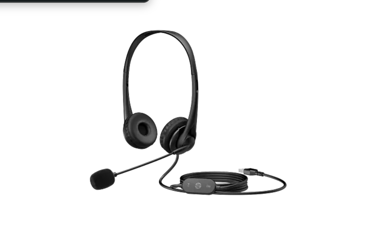 HP Stereo Headset