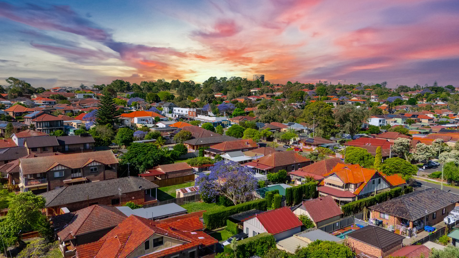 Panorama Sunset  aerial drone view of western Sydney Suburbs of Canterbury Burwood Ashfield Marrickville Campsie with Houses roads and parks in Sydney New South Wales NSW Australia