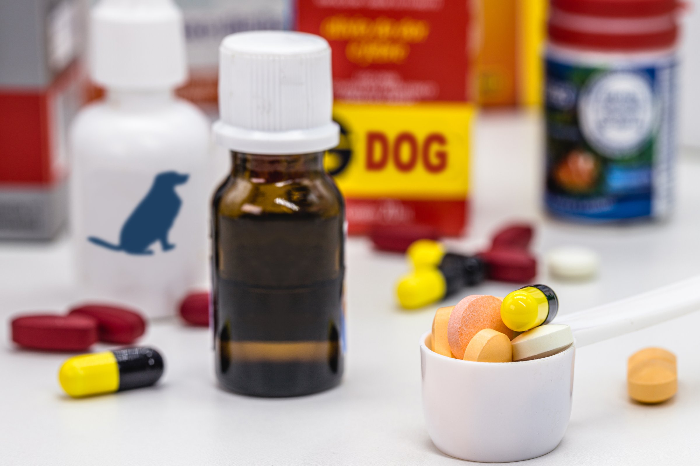 various veterinary medicines, for pets such as birds, dogs, cats, reptiles and fish