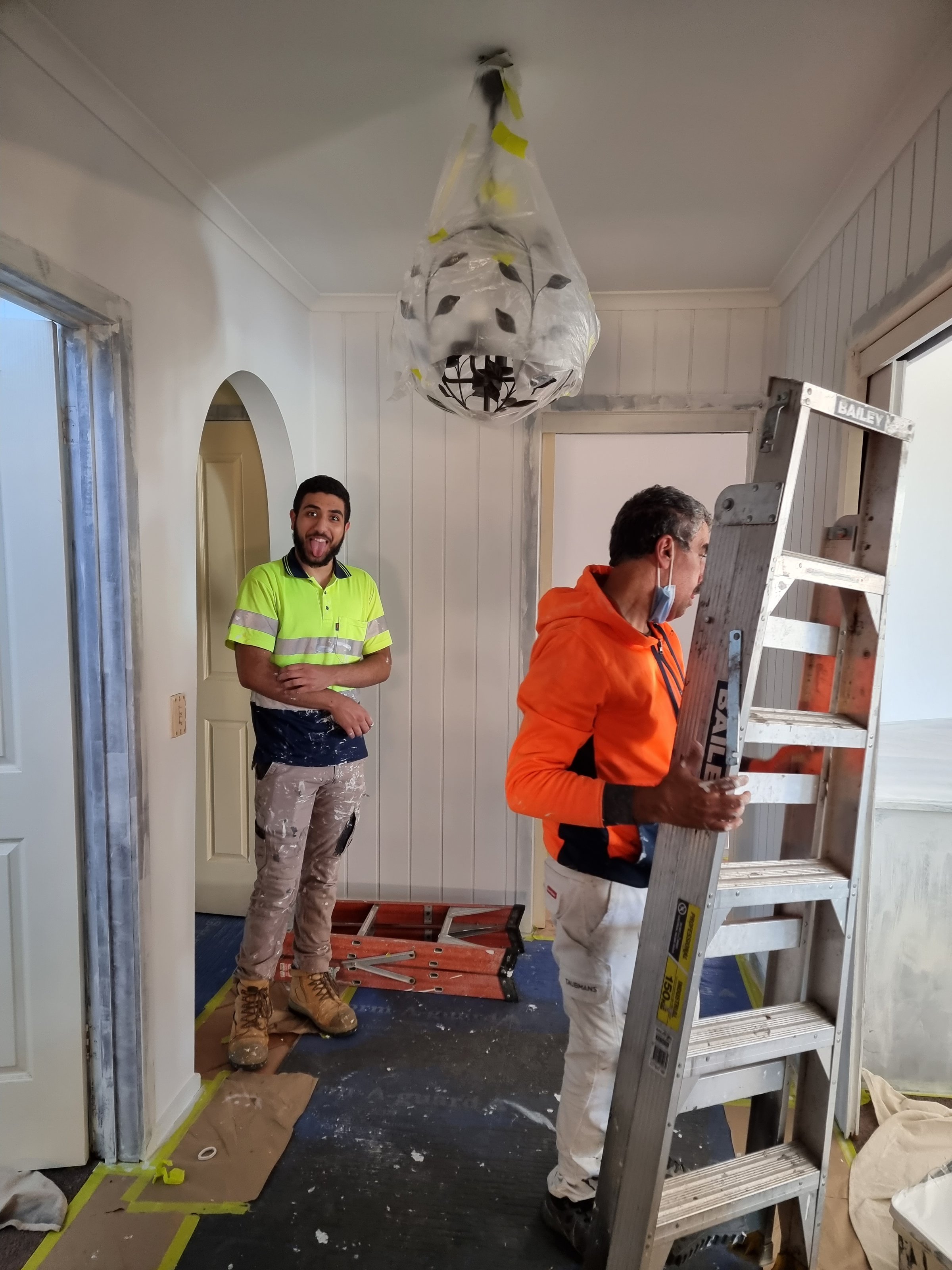 Professional painting work