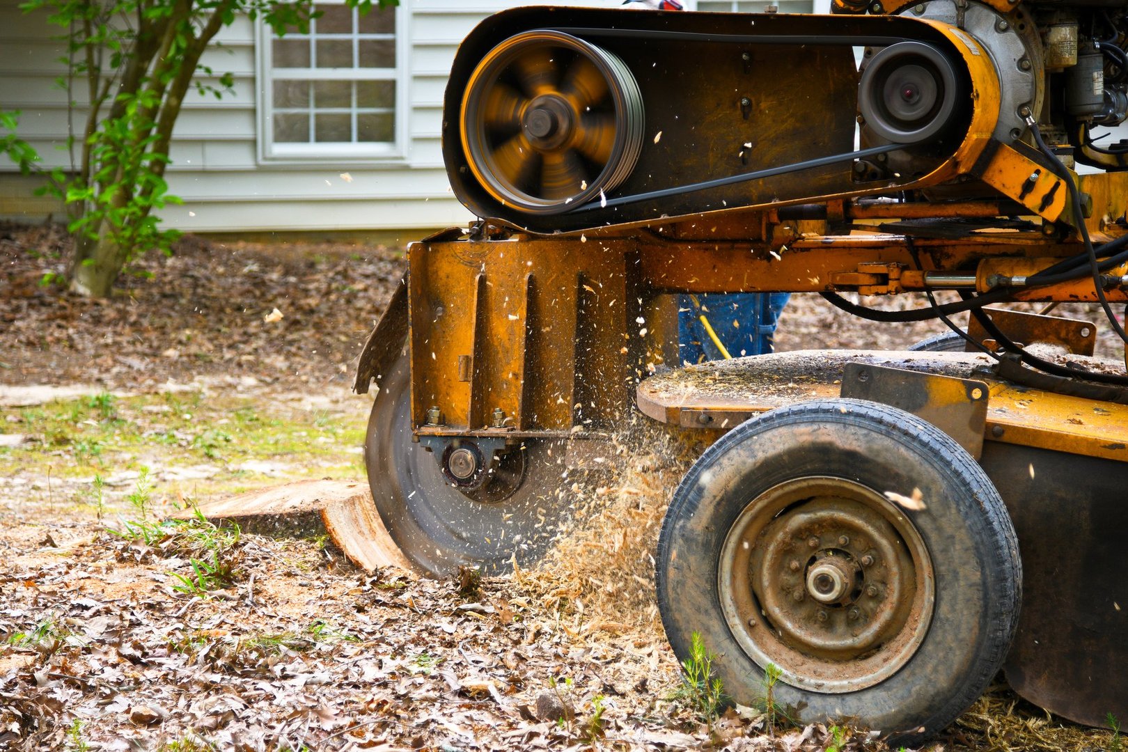 A Stump Grinding  Machine Removing a Stump from Cut Down Tree
