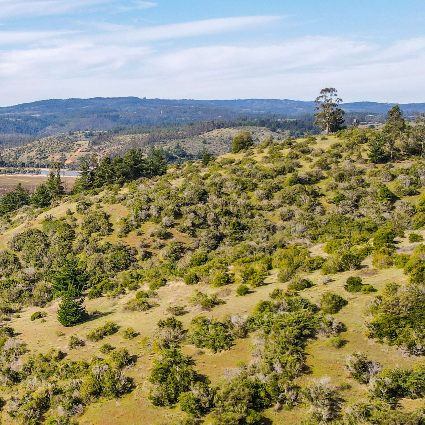 Panorámica del proyecto