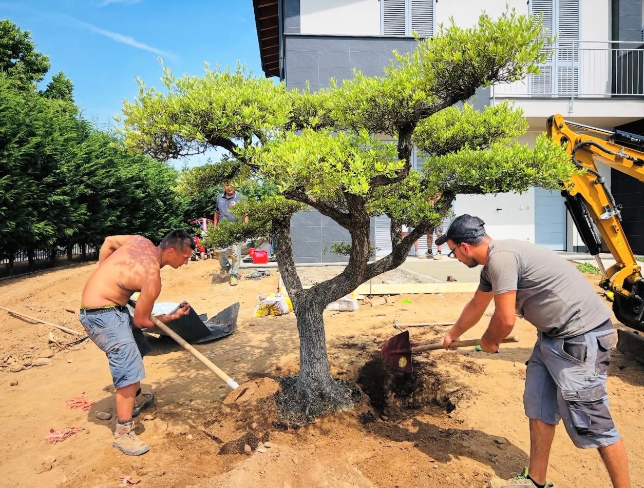 Team V&M Giardinaggio al lavoro