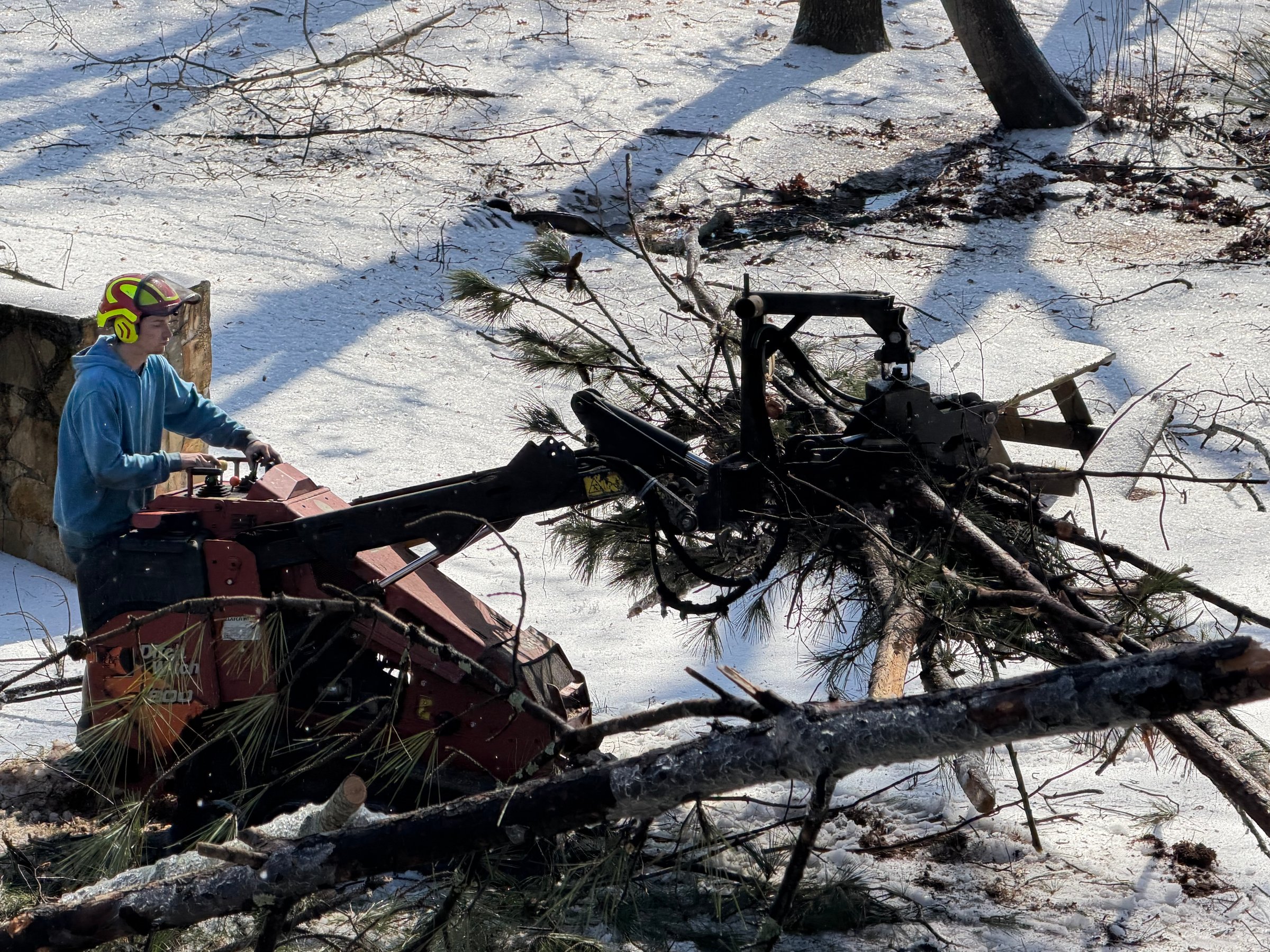 Nature Worx professional tree service