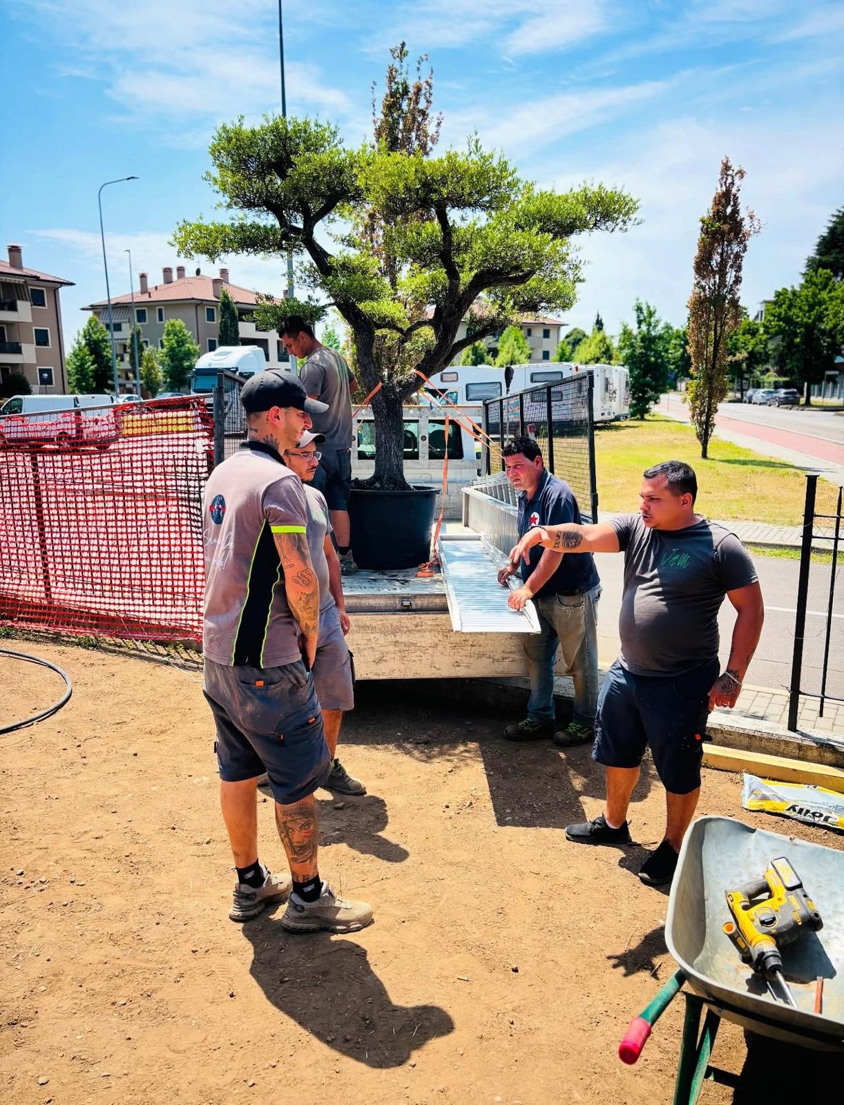 Progettazione e realizzazione giardini professionali