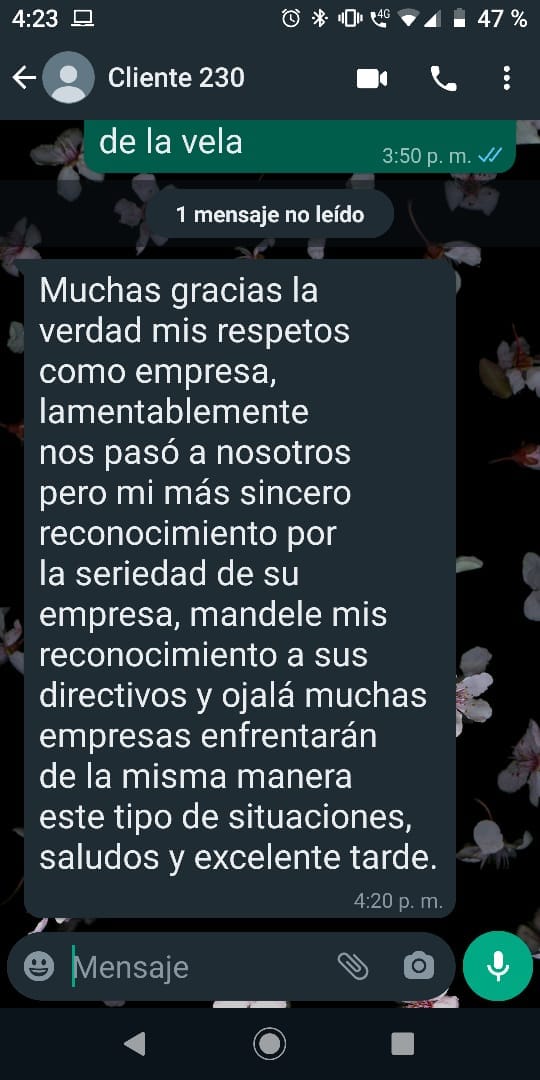 Detalles del incidente con el pastel