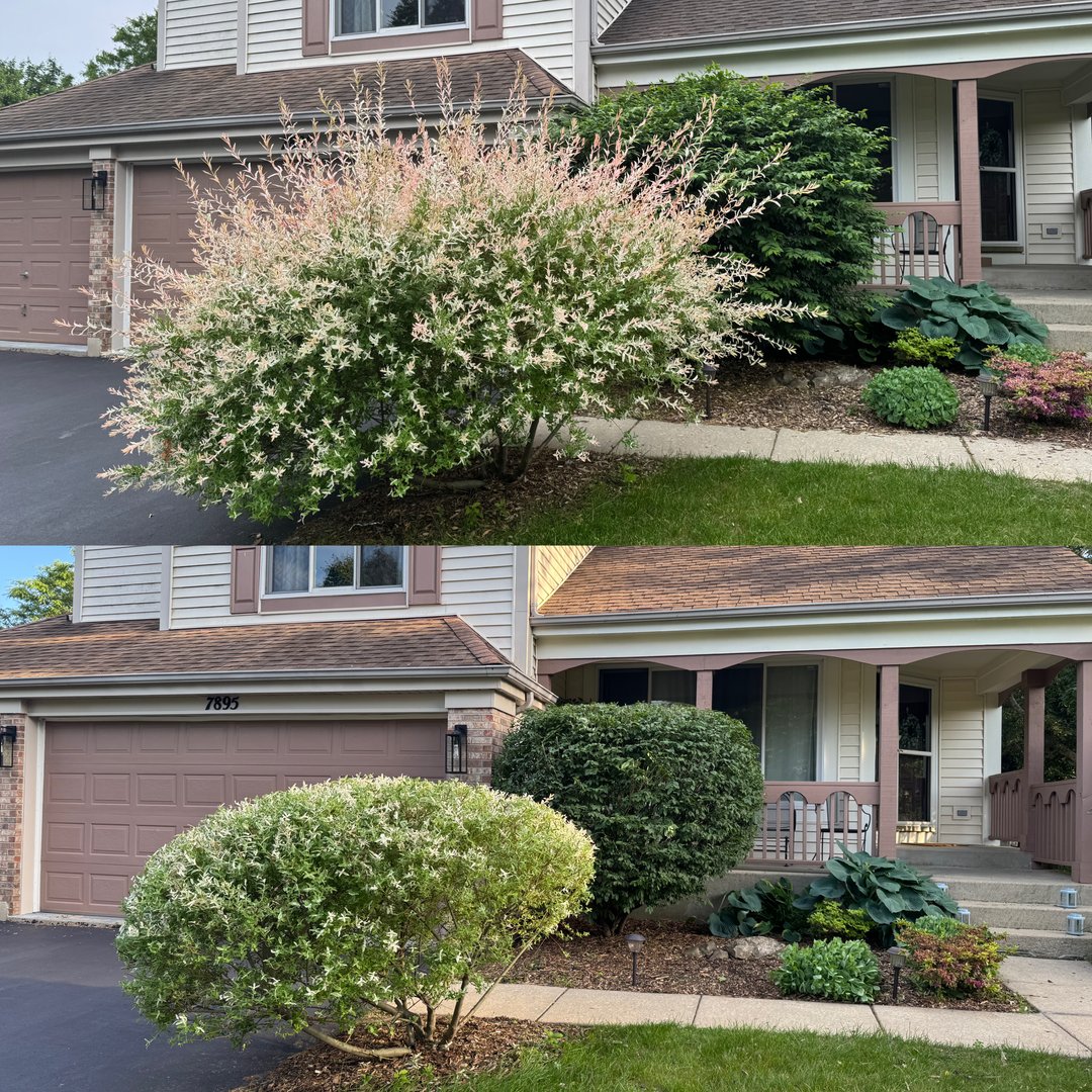 Heredia Landscaping project