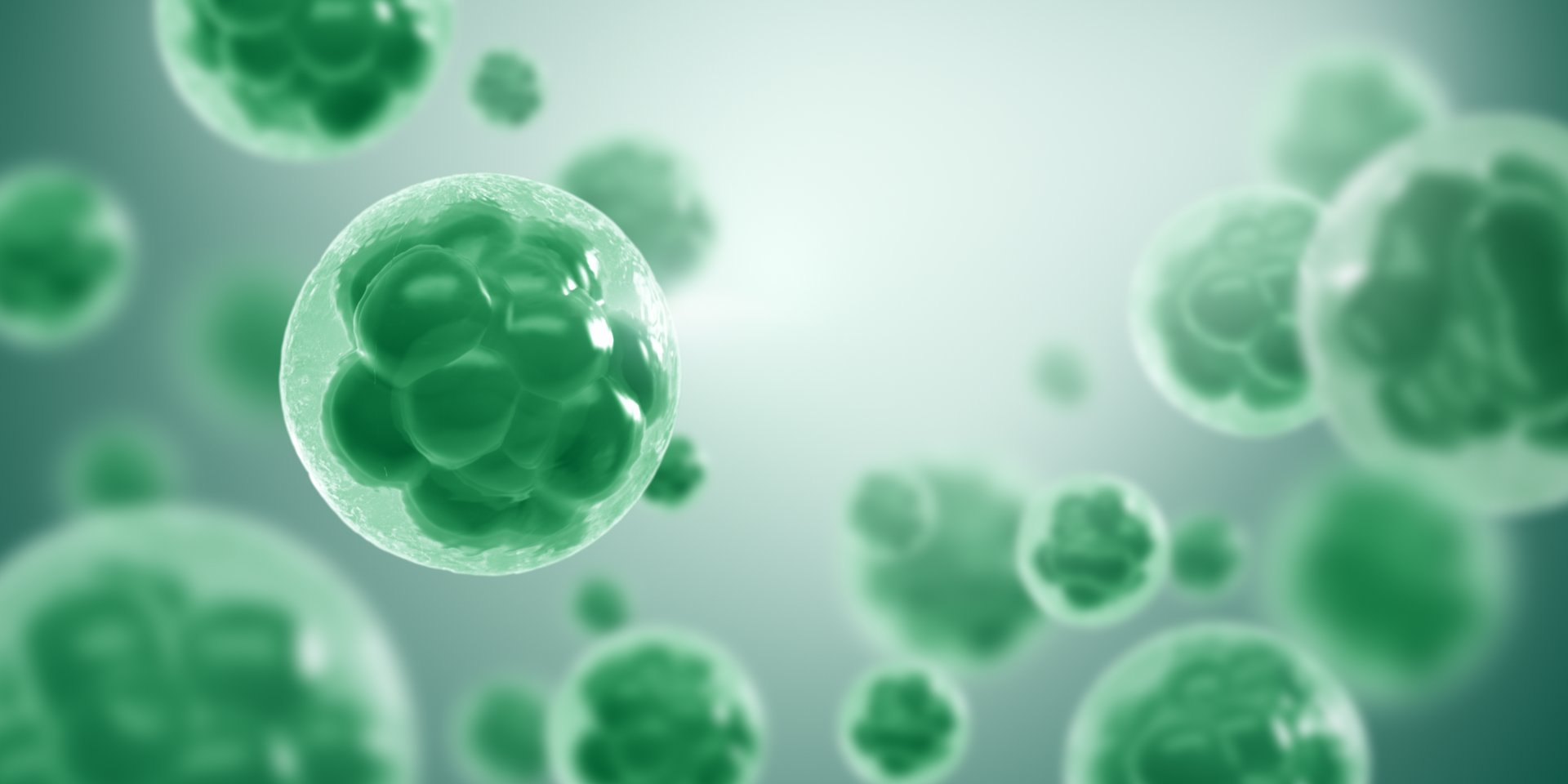 Stem cell biotechnology