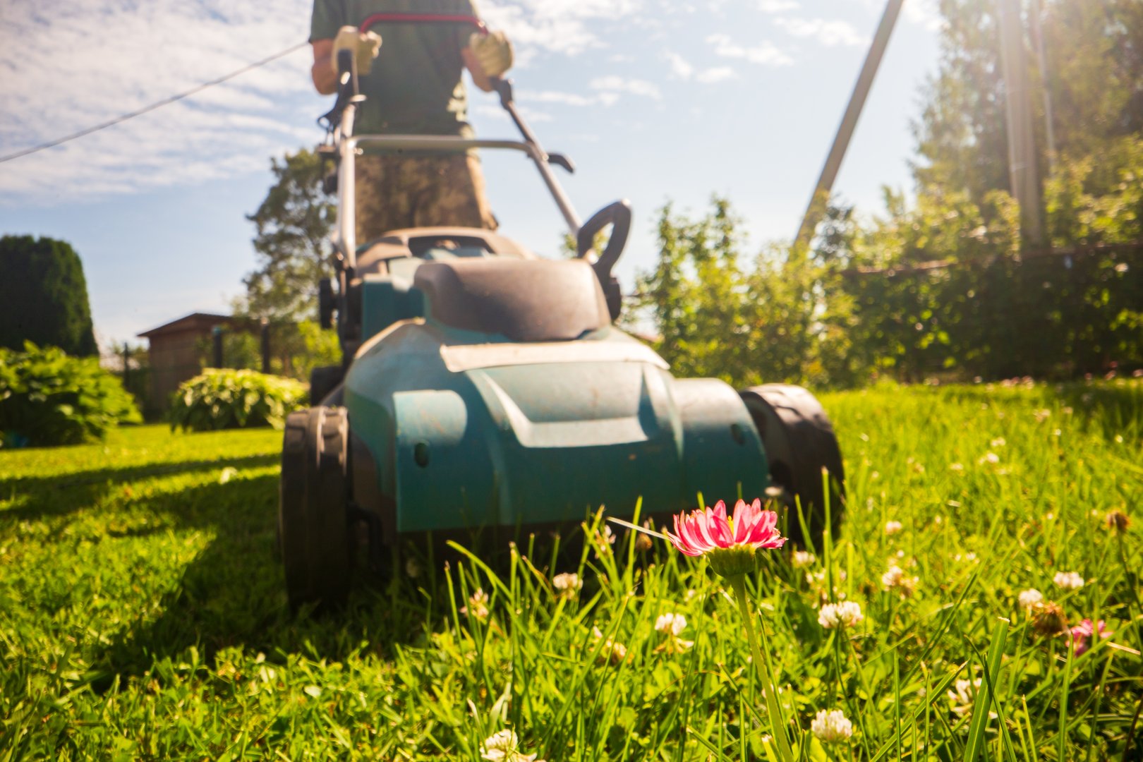 Lawn mover on green grass in modern garden or backyard. Machine for cutting lawns. Gardening care tools and equipment. Process of lawn trimming.