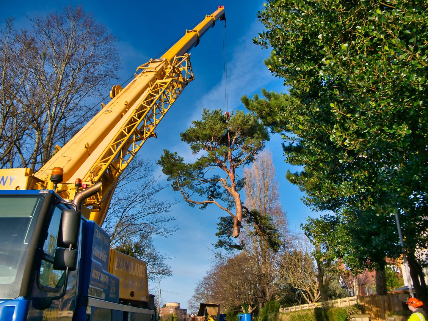 In the aftermath of Storm Arwen Danny Lawlor Crane Hire and Mancoed Tree Management remove a damaged scots pine by lifting sections of the tree to avoid damage by felling.