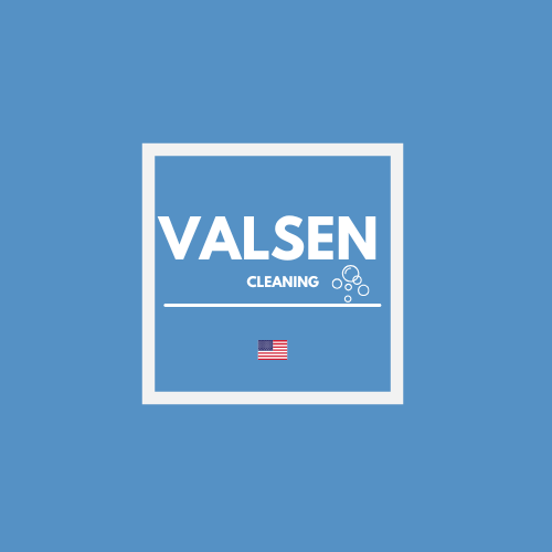 Professional Cleaning Services