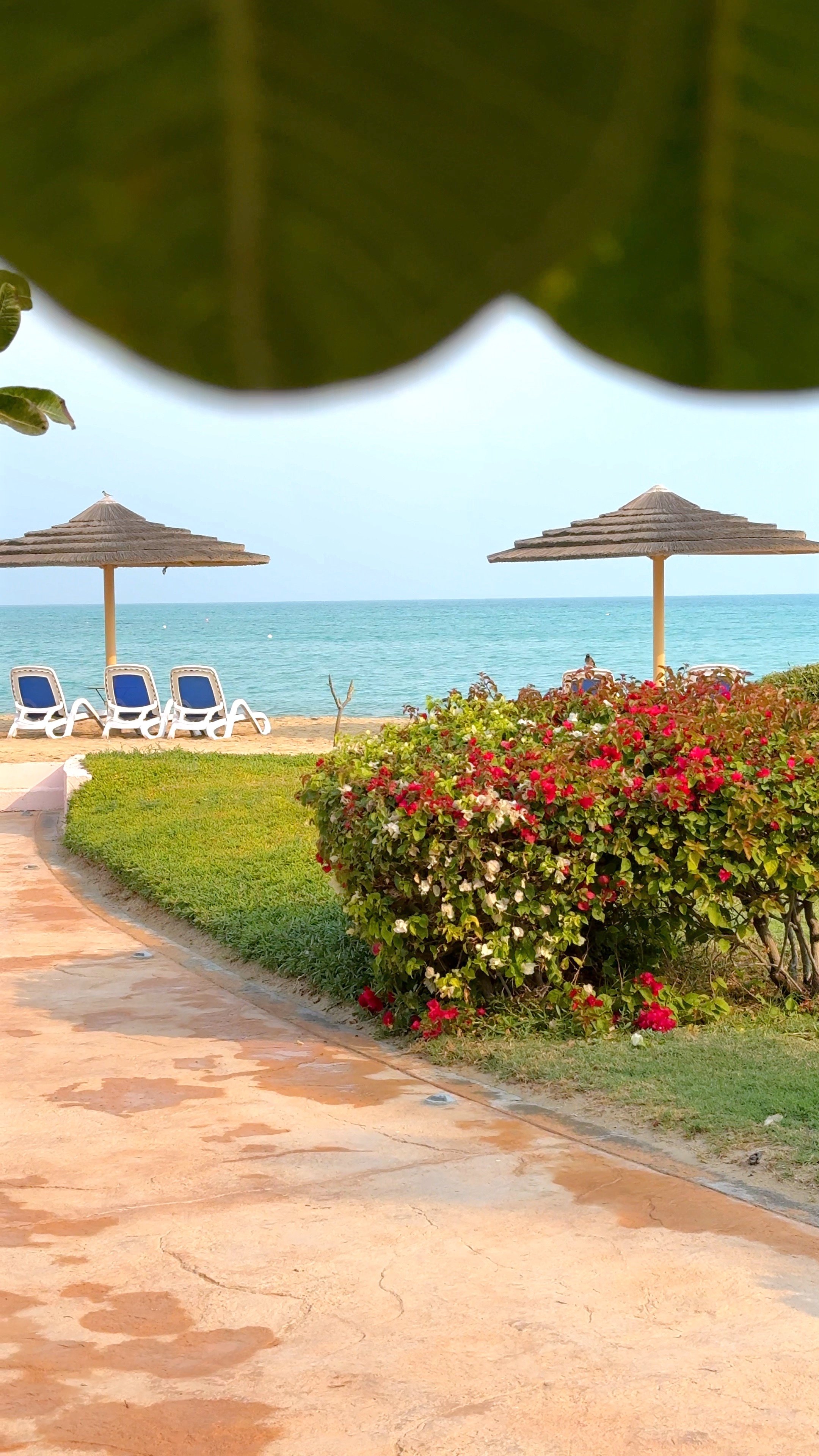 Tourism thrives in beachfront luxury, oceanfront elegance captivates travelers. Exclusive tourism resorts define beachfront relaxation, oceanfront retreats catering to elite experiences.