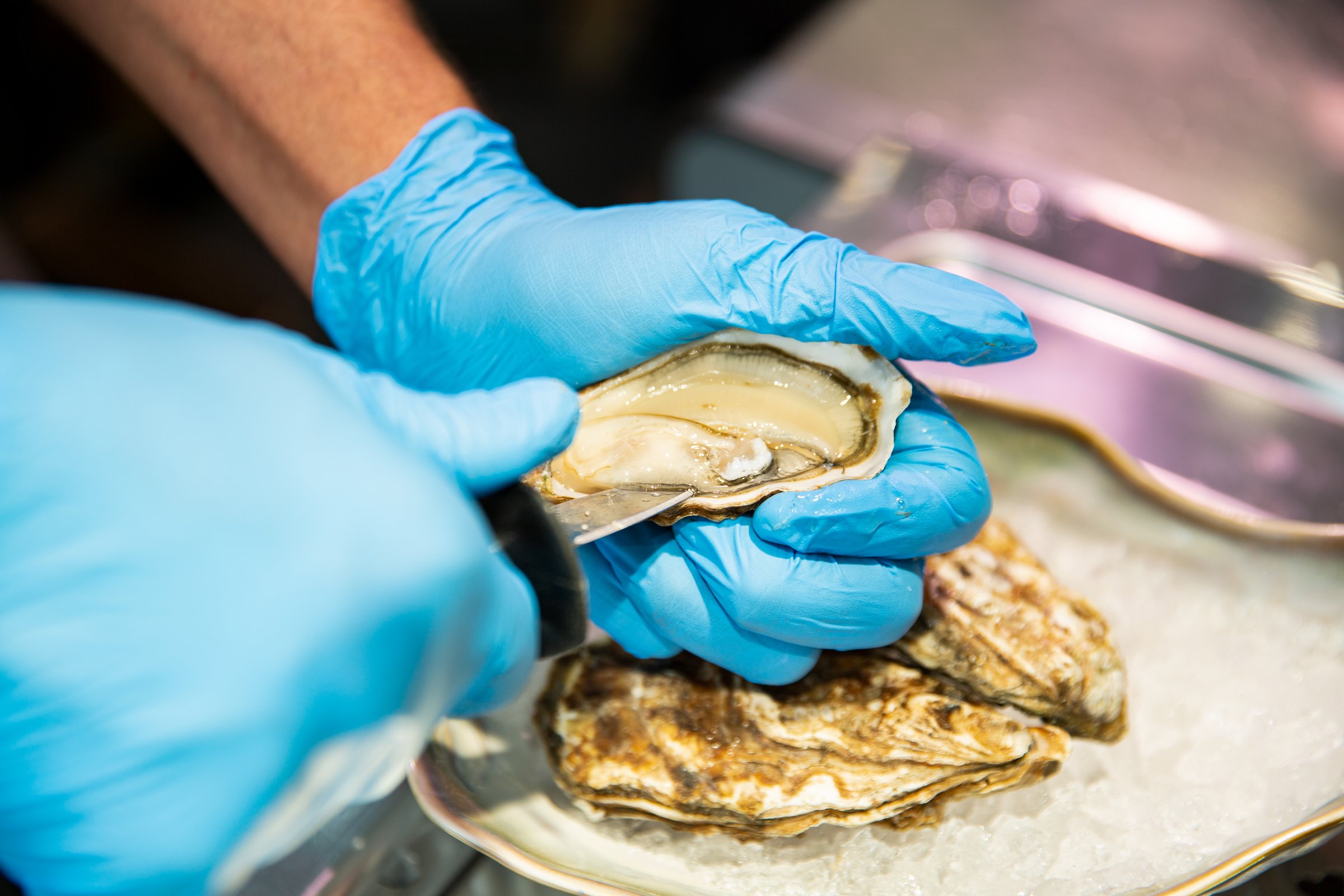 Men's hands in sanitary gloves open oysters. The chef preparing an oyster with a special knife for a customer at the morning fish market. The chief is peeling an oyster.