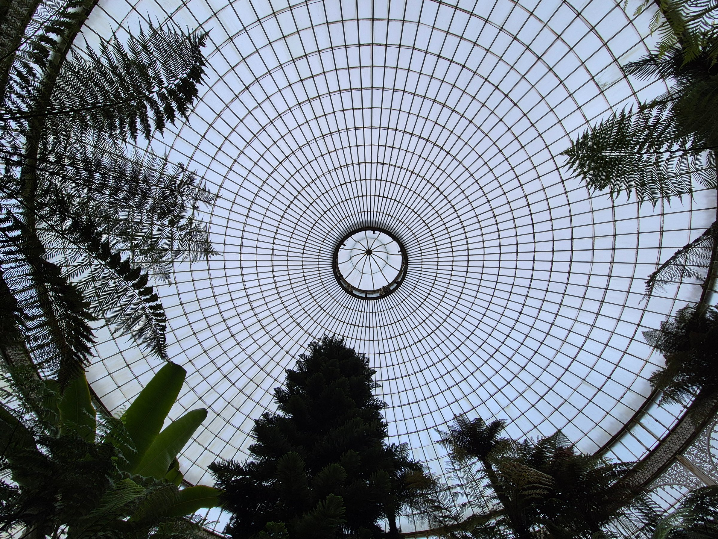 Ceiling of a glasshouse at Glasgow Scotland England. Kibble Palace at Glasgow Botanic Gardens.