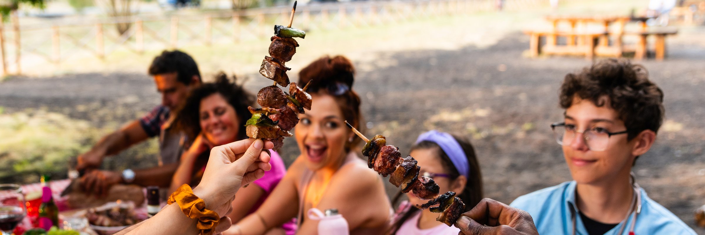 toasting with meat skewers - diverse group of friends celebrating grilled meat skewers at outdoor barbecue – multiracial young people having fun at park barbecue - horizontal web banner size for header