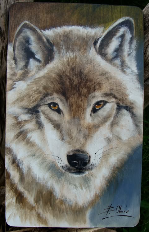 Wilk 12