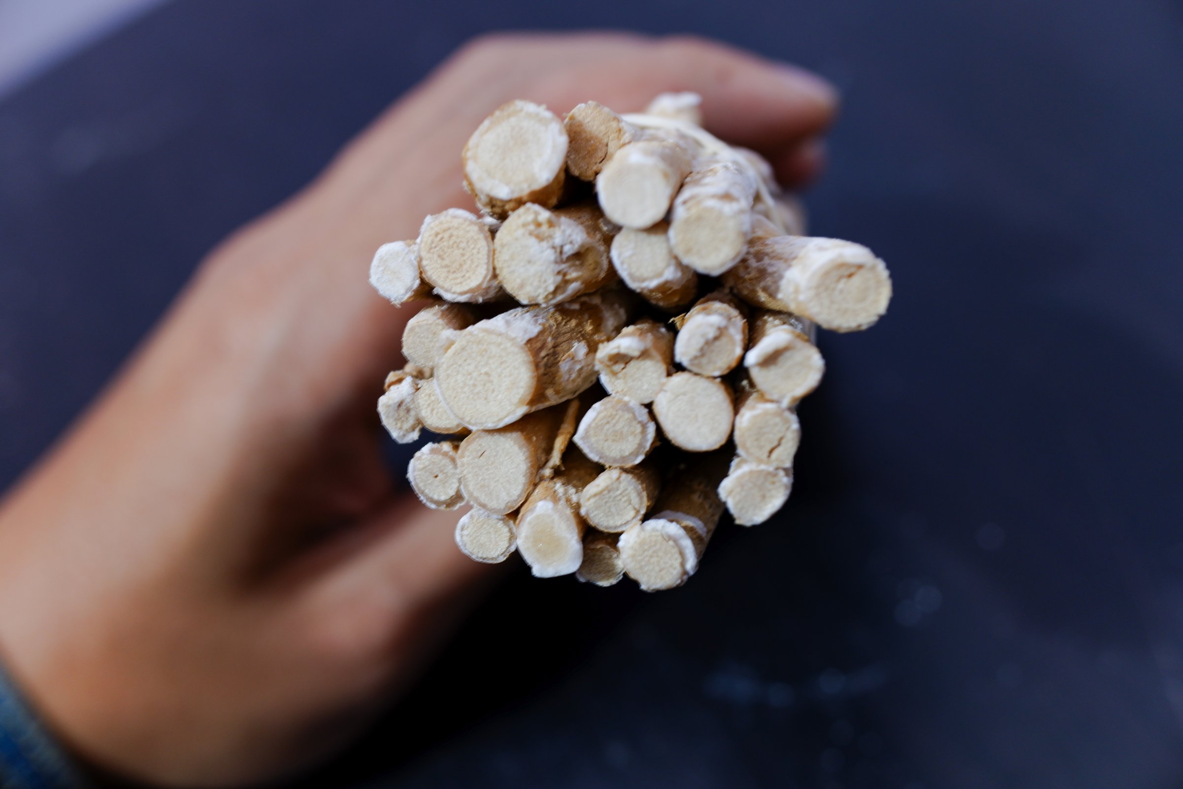 A bunch of siwak stems being held in a hand on a black table.