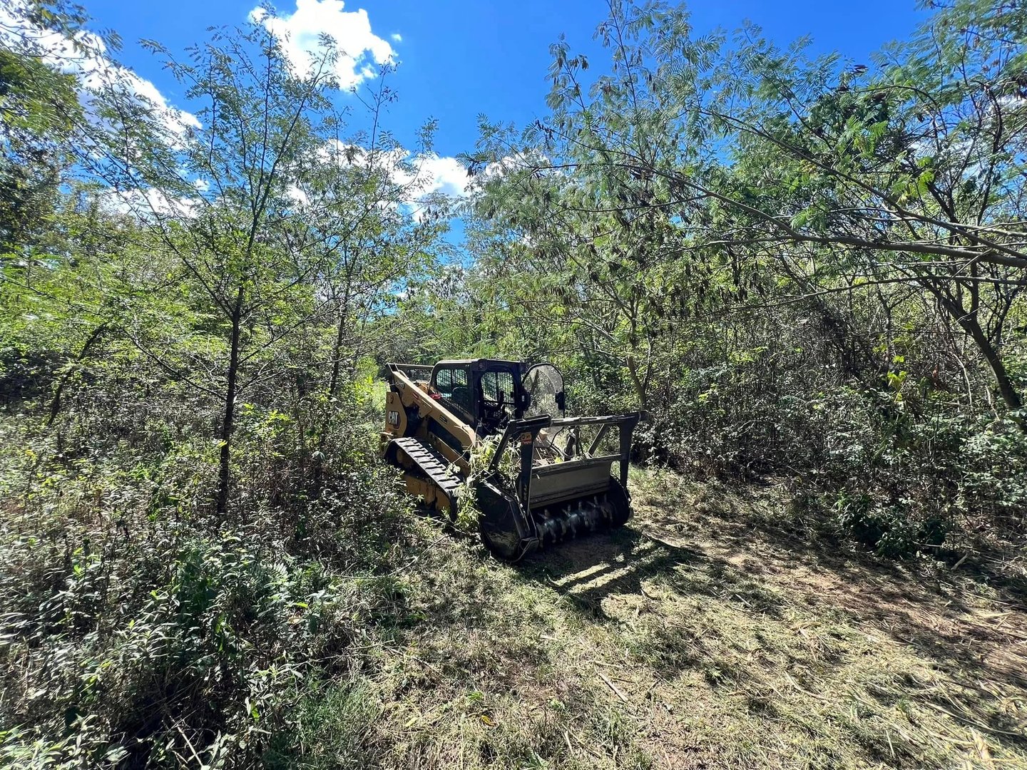 Blair Excavation forestry mulching project