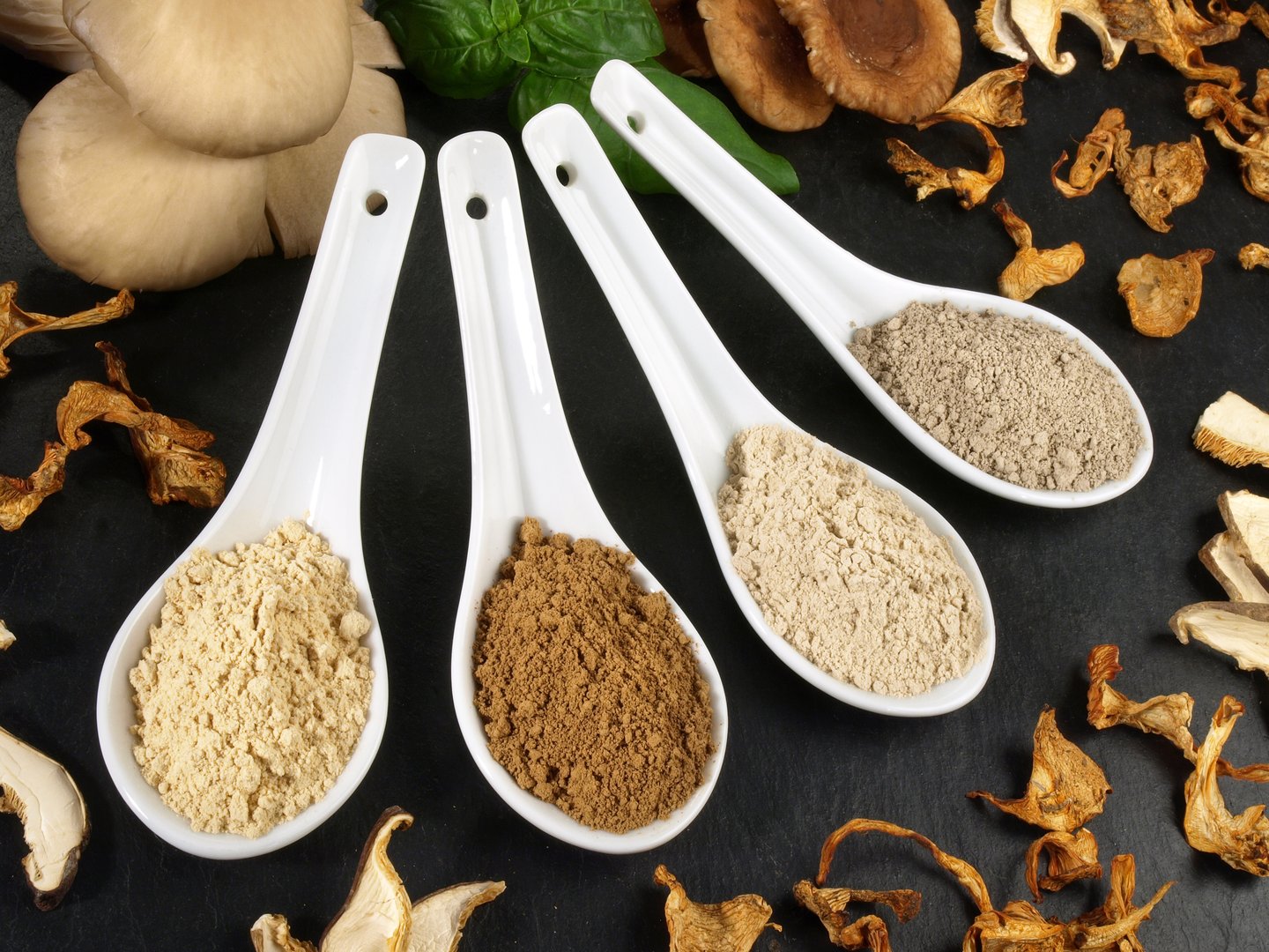 Medicinal Mushrooms - Healthy Nutrition