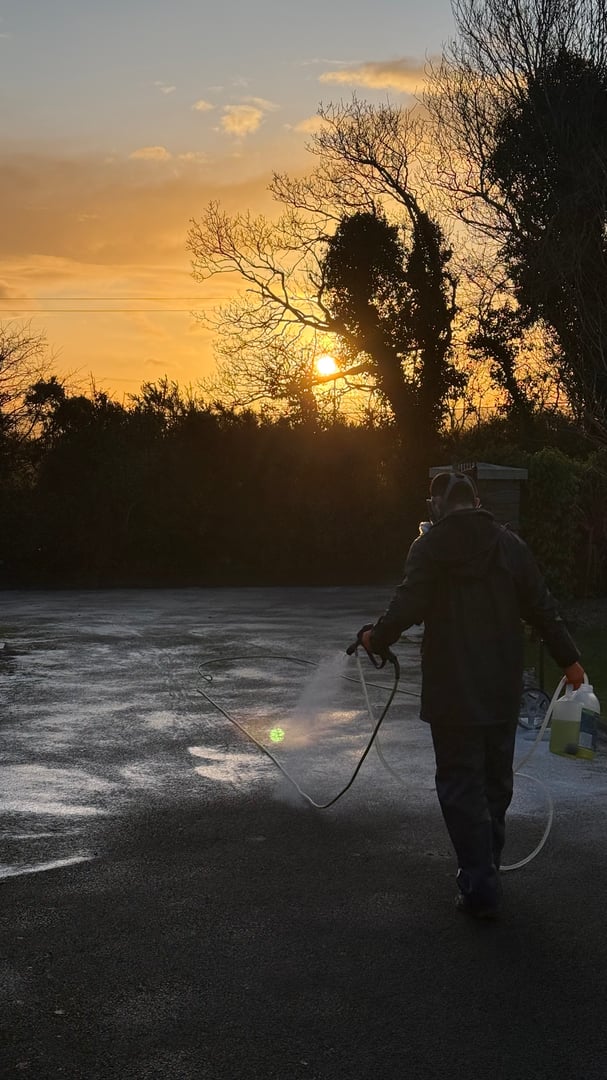 Bear Services team at work